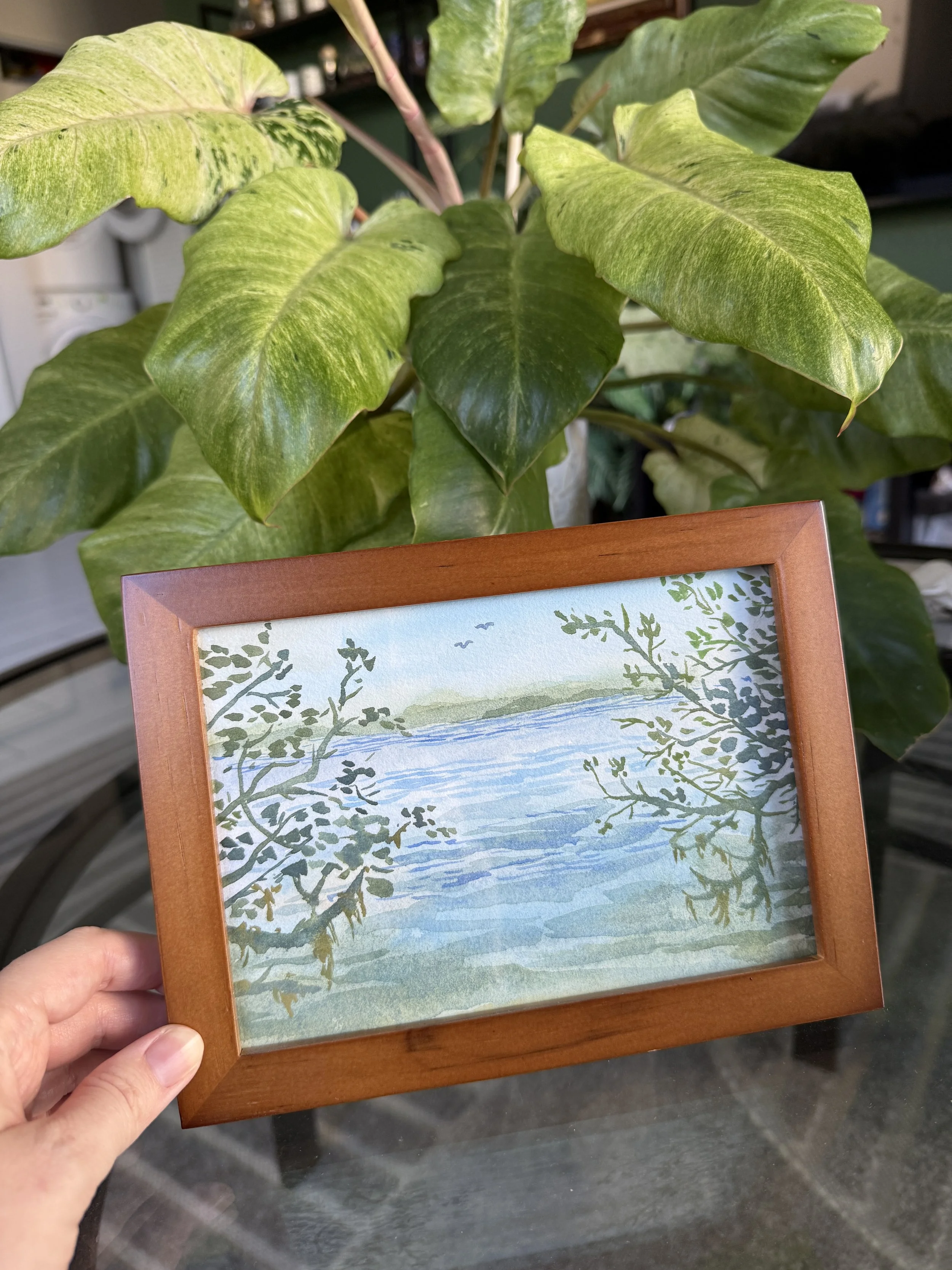 Mangroves - Watercolor on Paper - 5 in by 7 in 2.JPG
