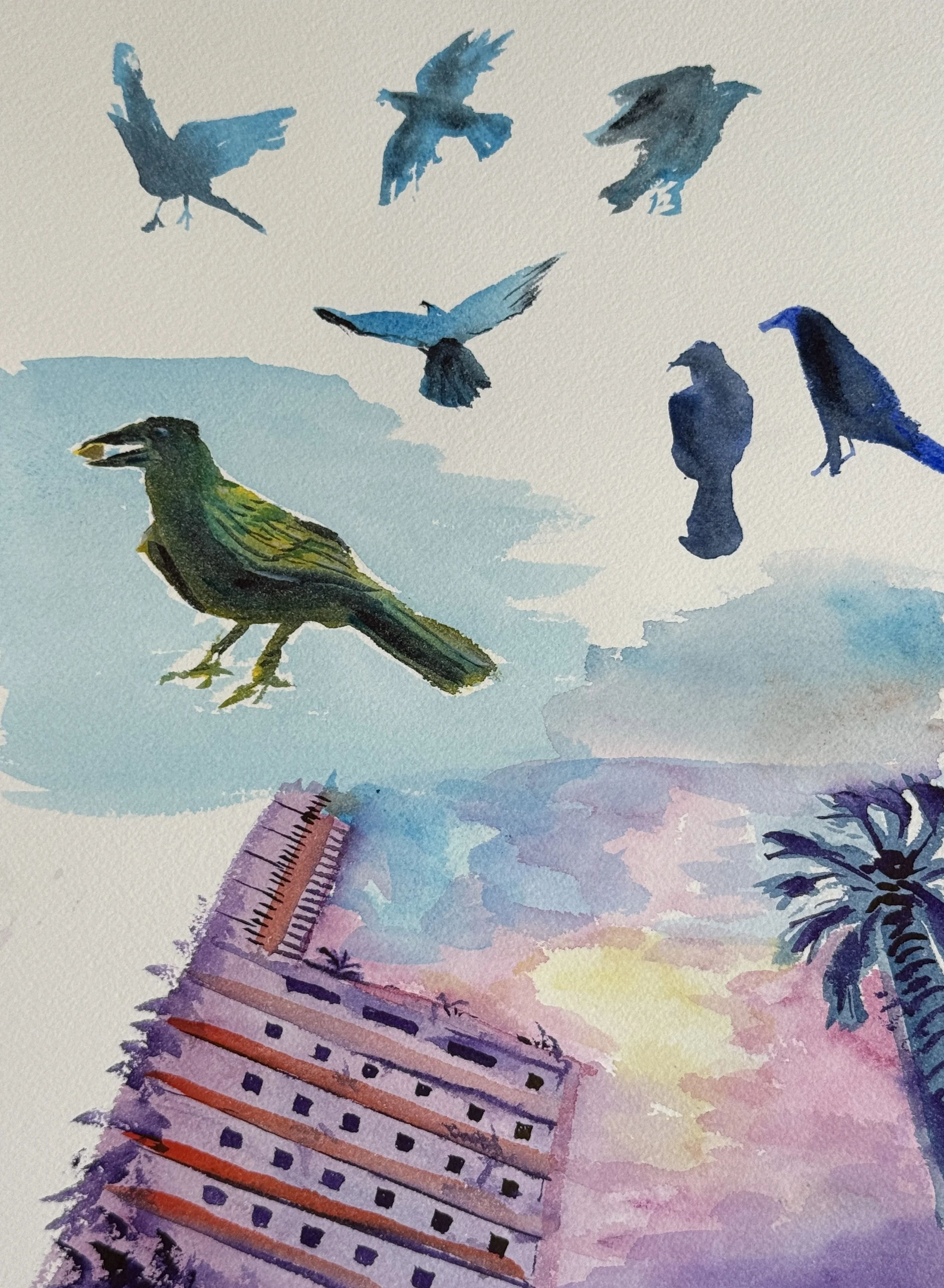 crow-3to9.JPG