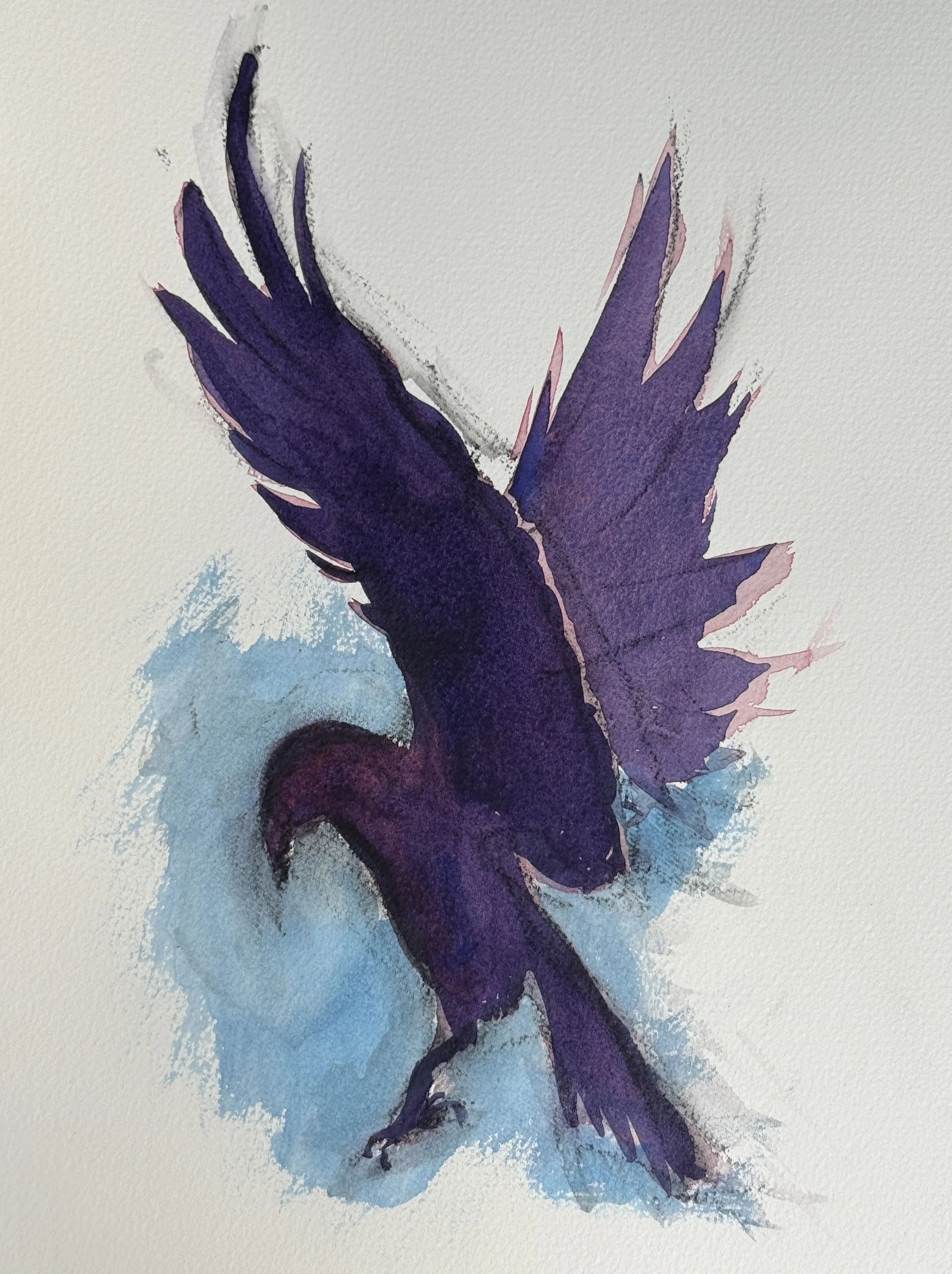 crow-20.JPG