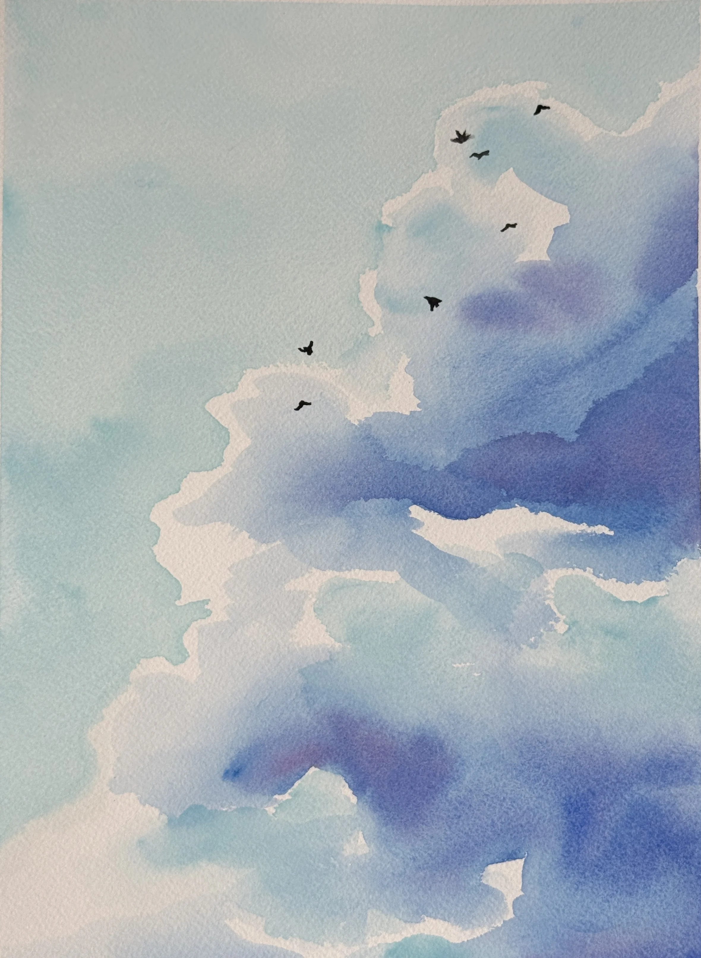 crow-25.JPG