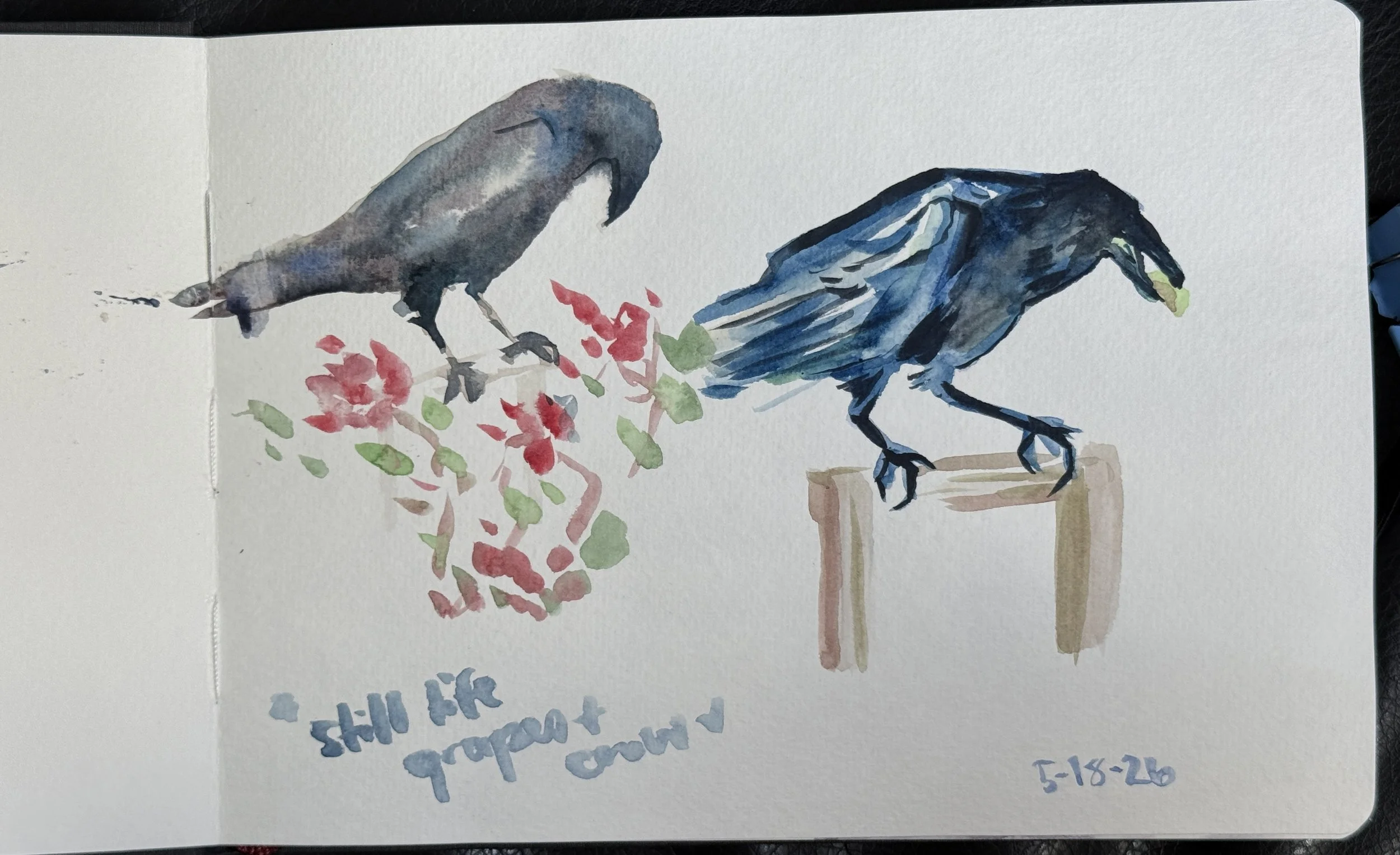 crow-21and22.JPG
