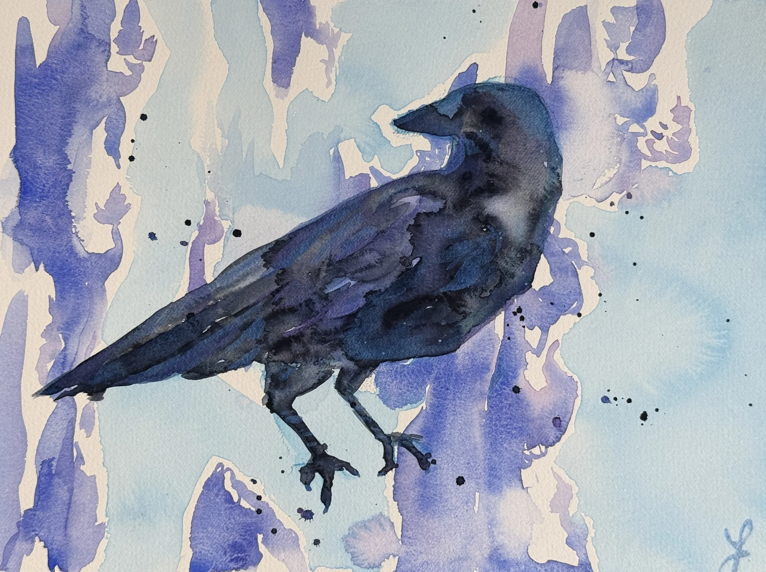 crow-44.JPG