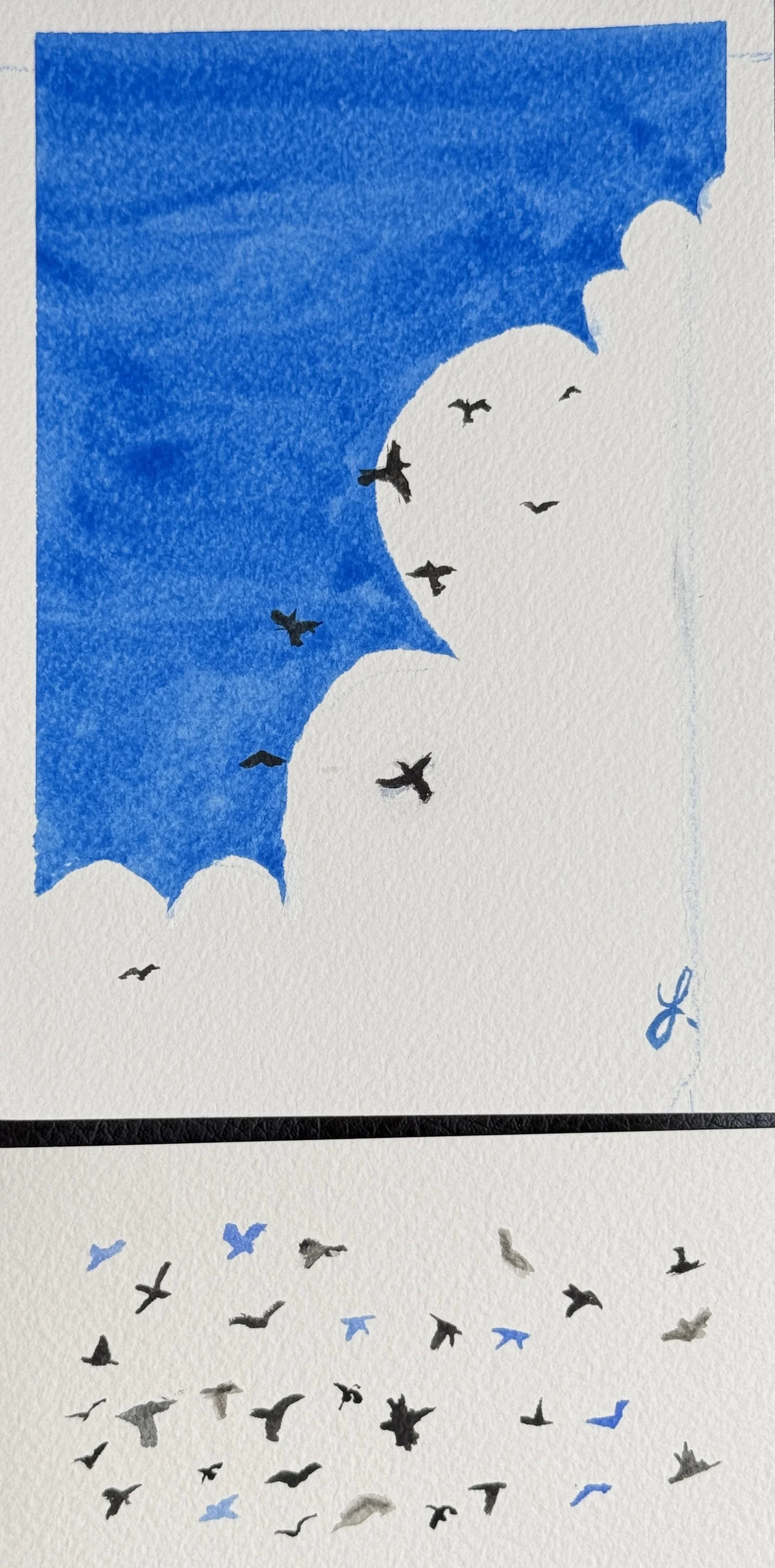 crow-2.JPG