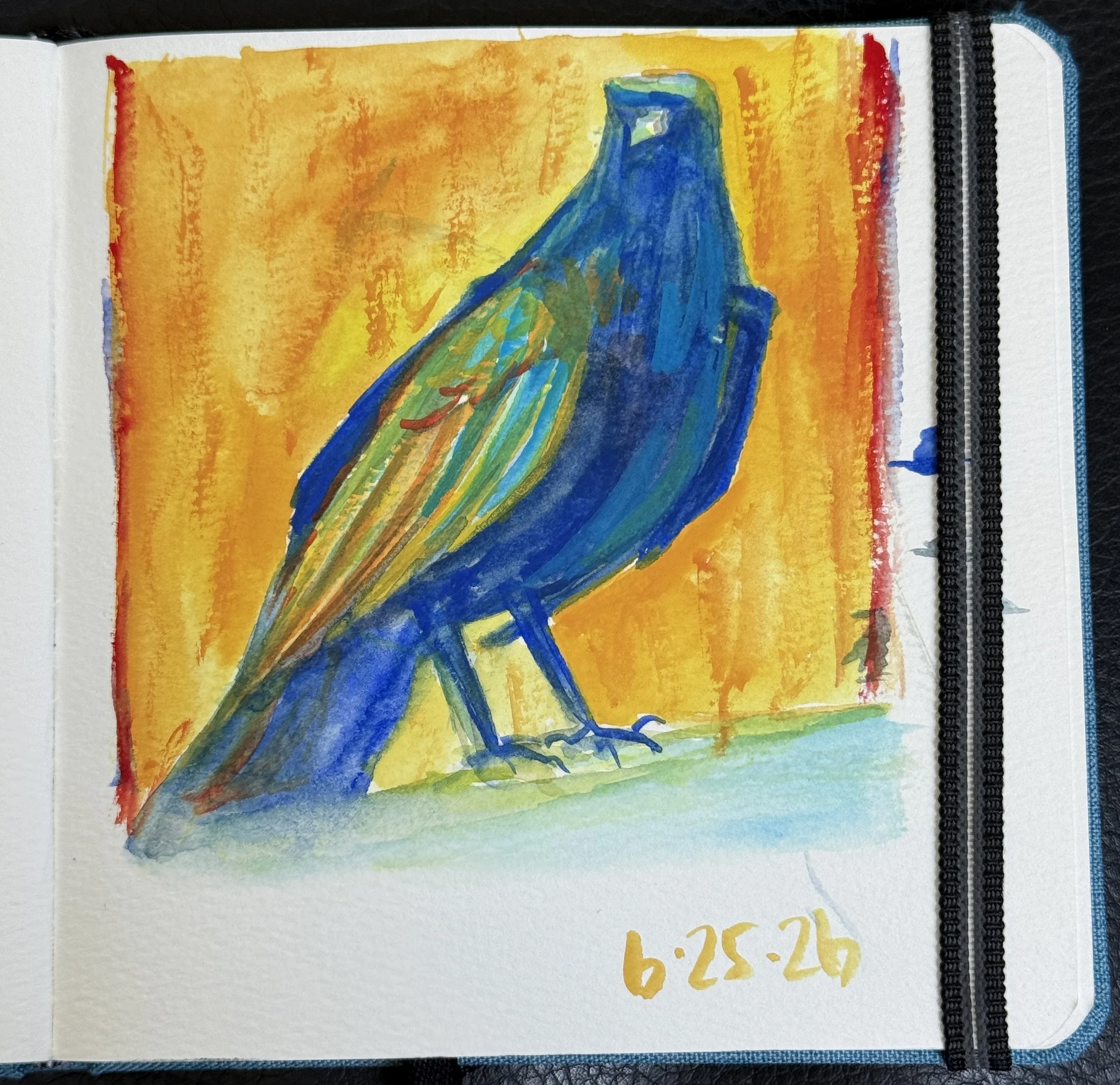 crow-16.JPG