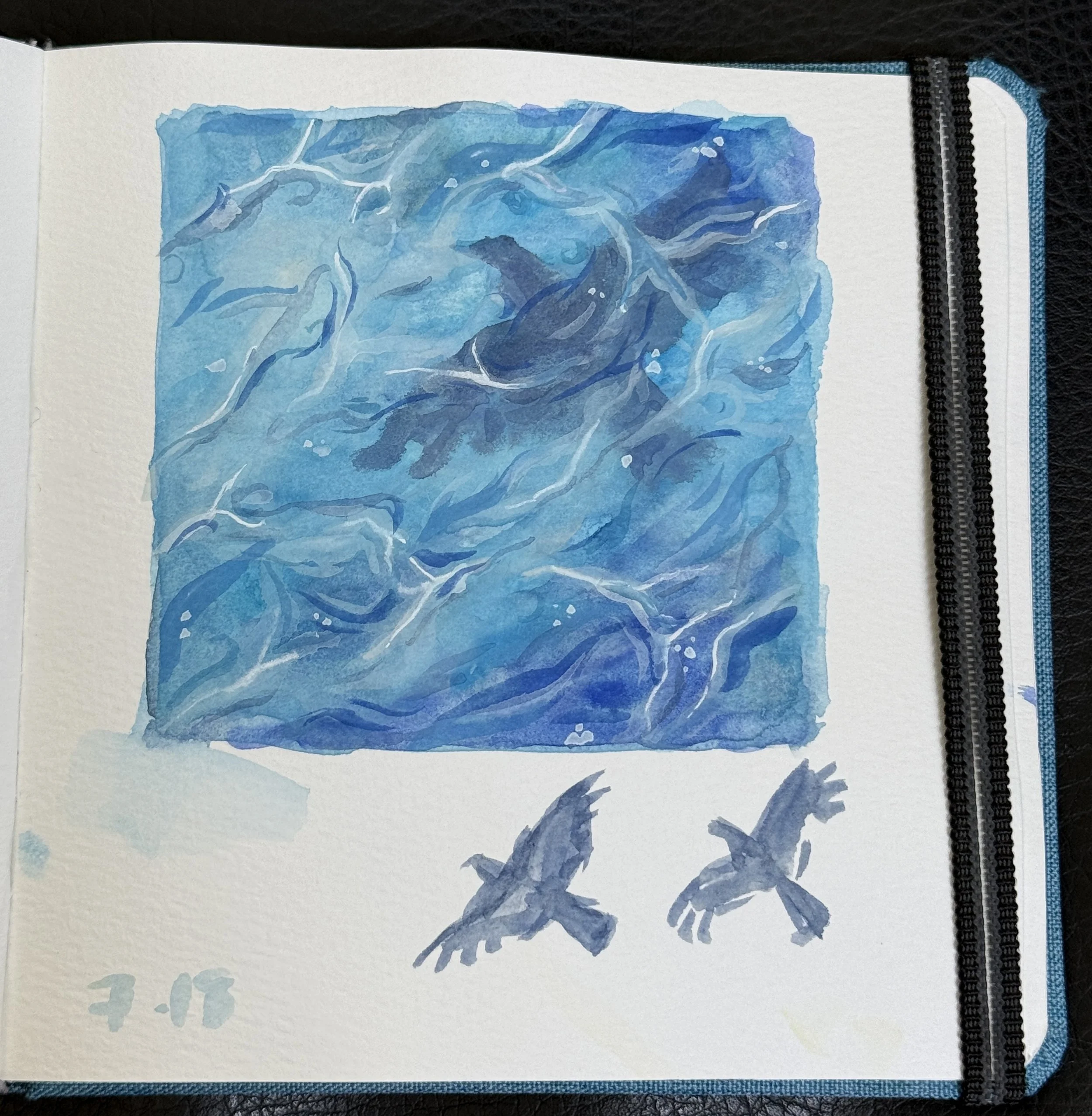 crow-37.JPG