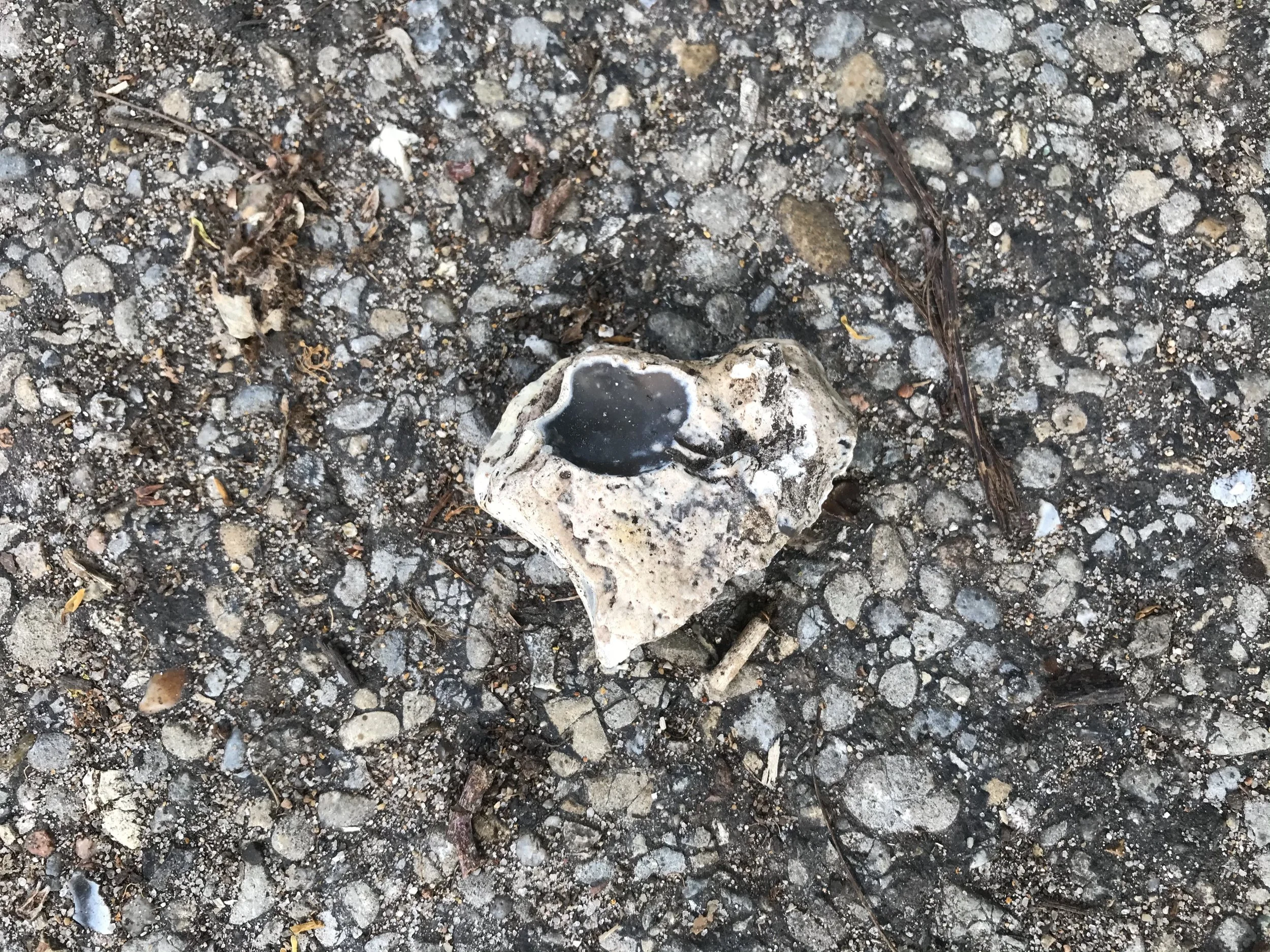 coeurphotos_23.JPEG