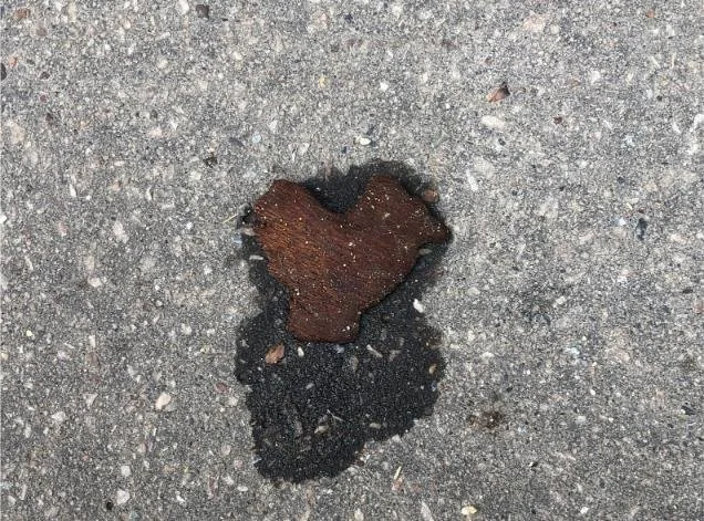 photocoeur-celaseche.jpg