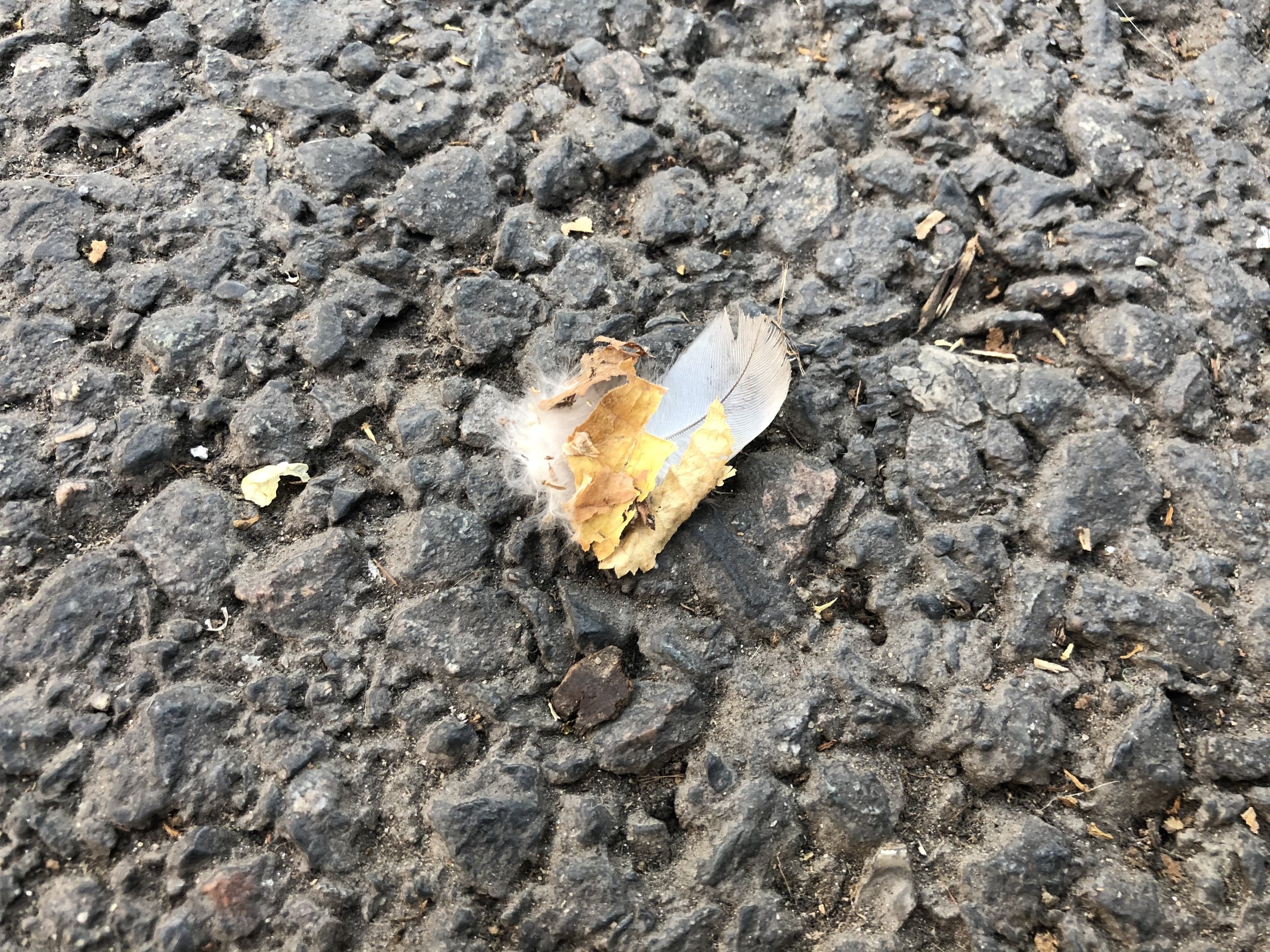 coeurphotos_14.jpeg