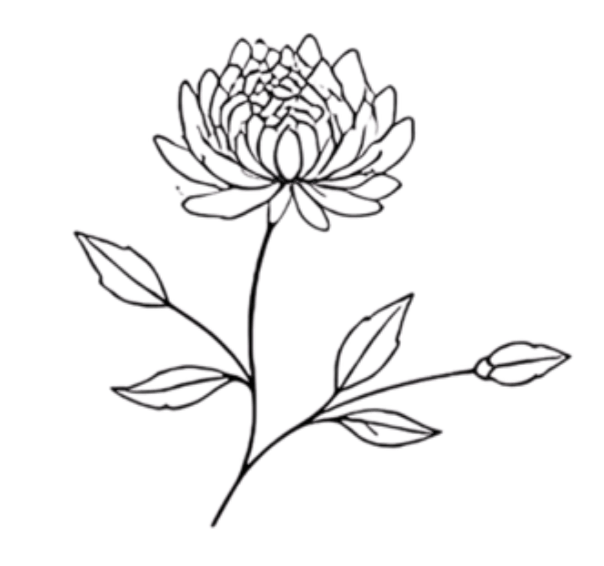 Outline of a flower with multiple petals, a stem, and five leaves on black background.