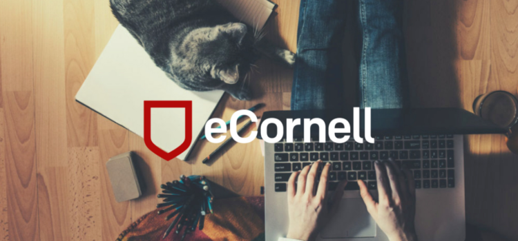 Generic eCornell image of person typing