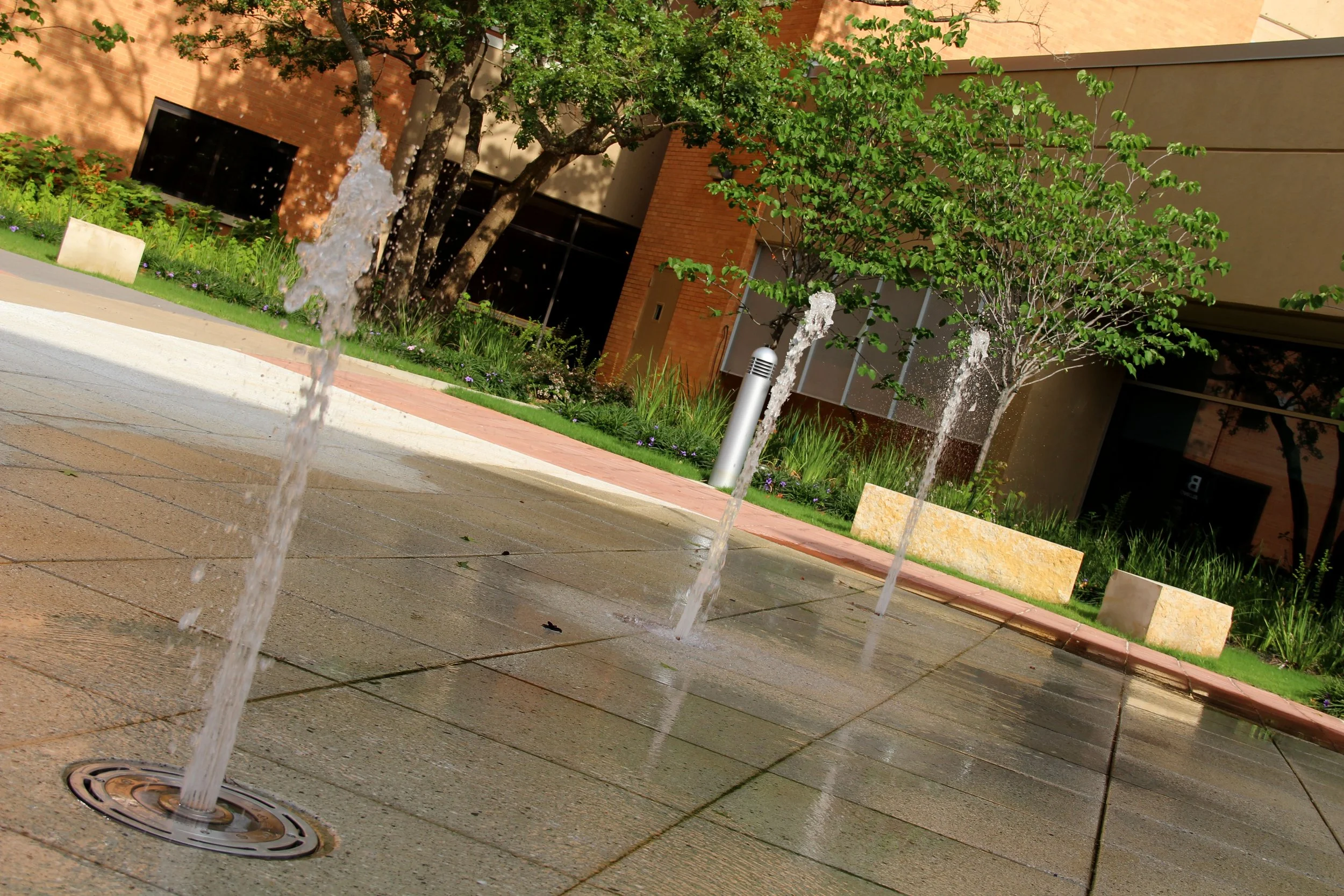 UT TYLER_6.jpg