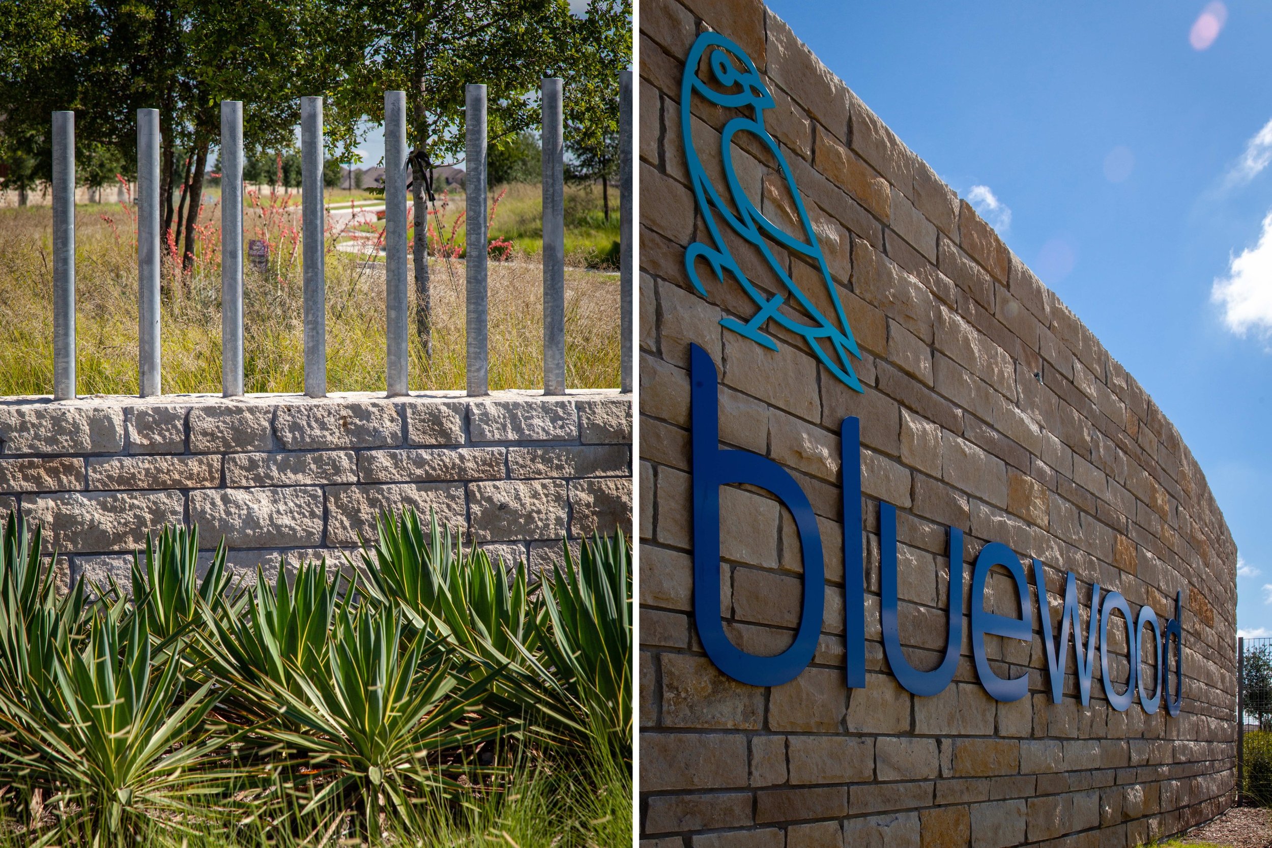 BLUEWOOD_3.jpg