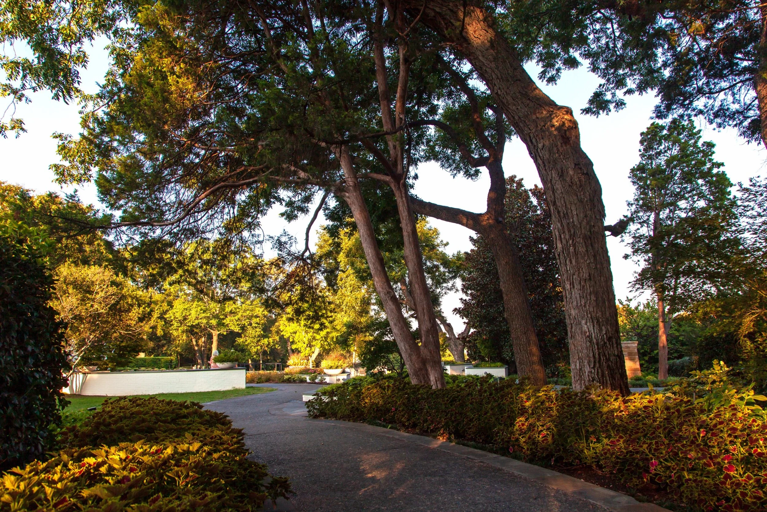ARBORETUM_2.jpg