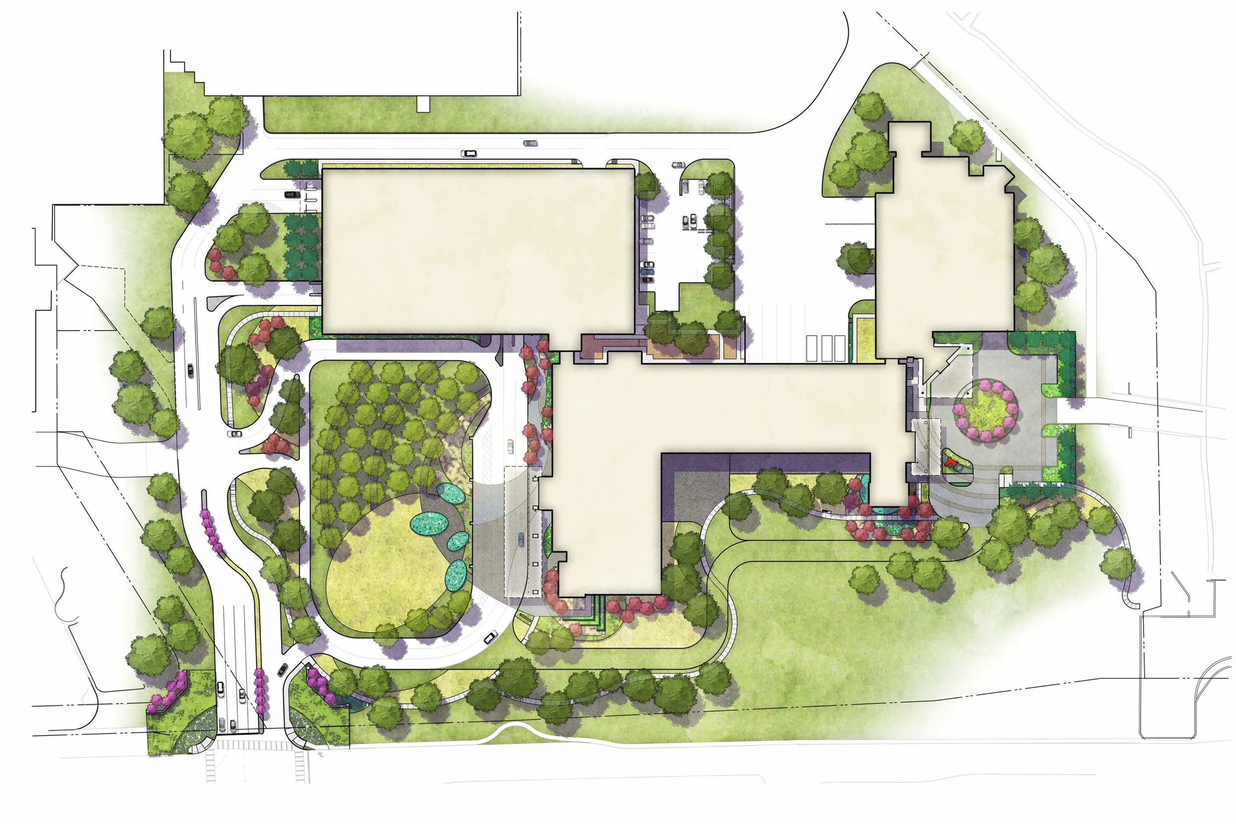 UTSW_1.jpg
