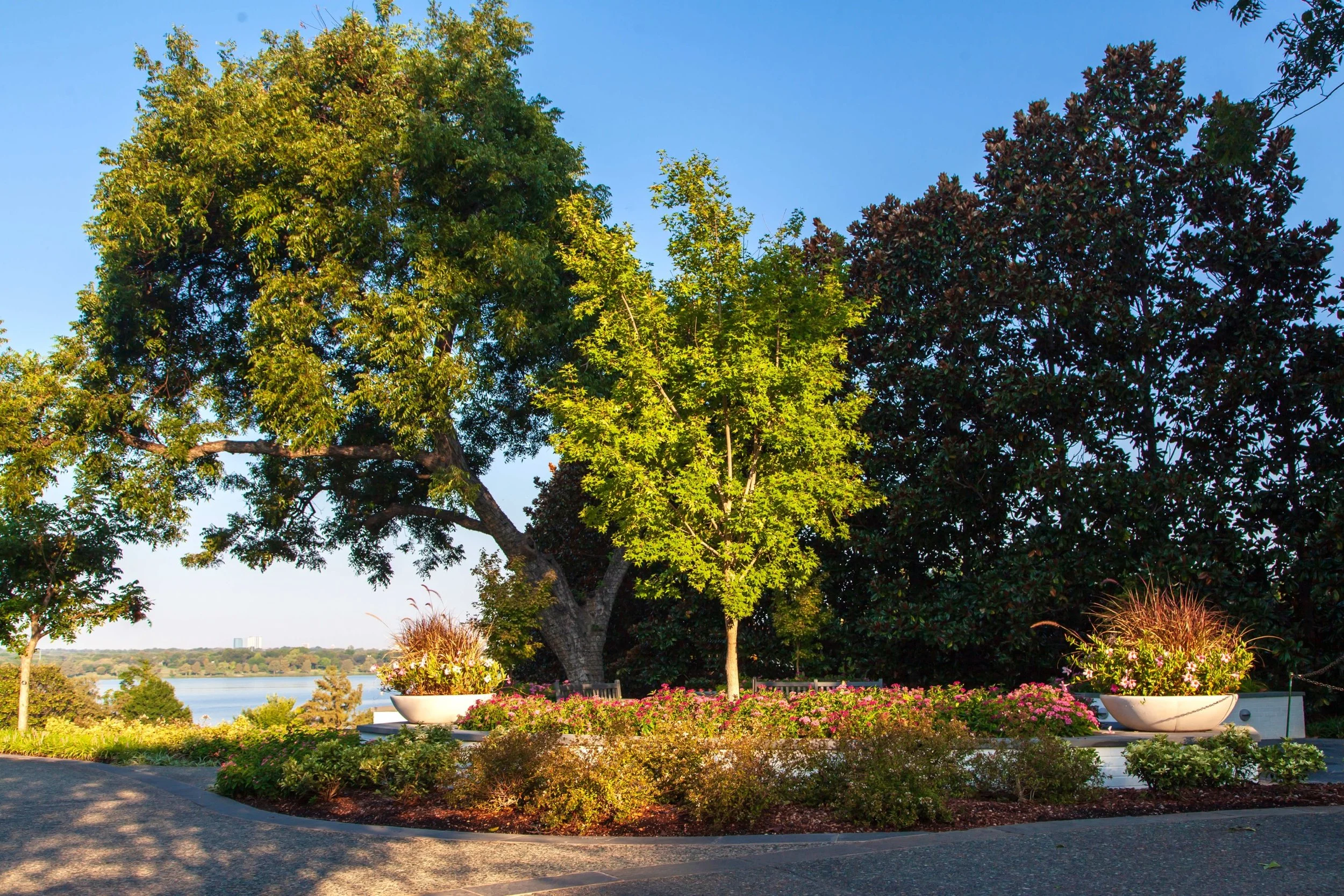 ARBORETUM_3.jpg