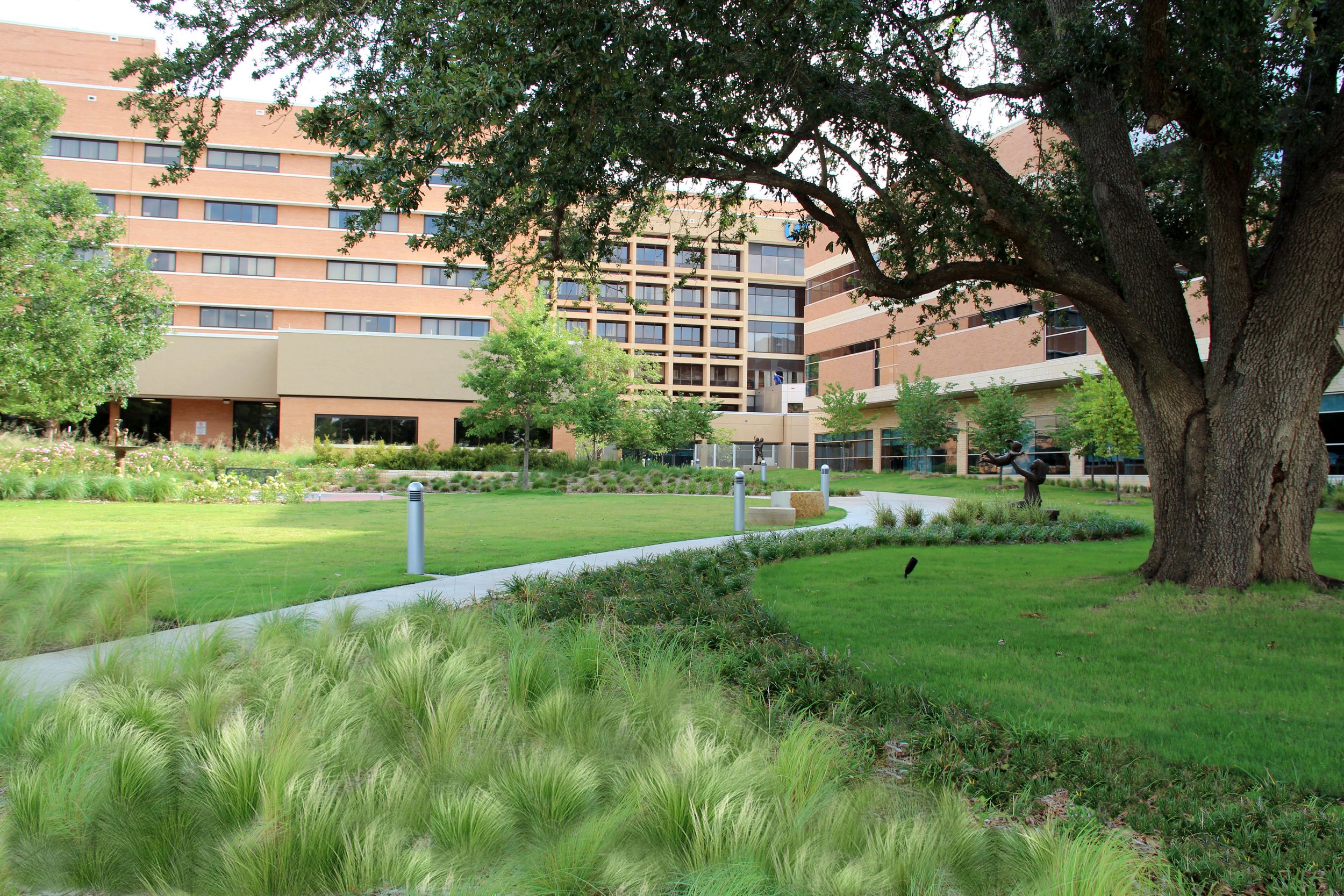 UT TYLER_4.jpg
