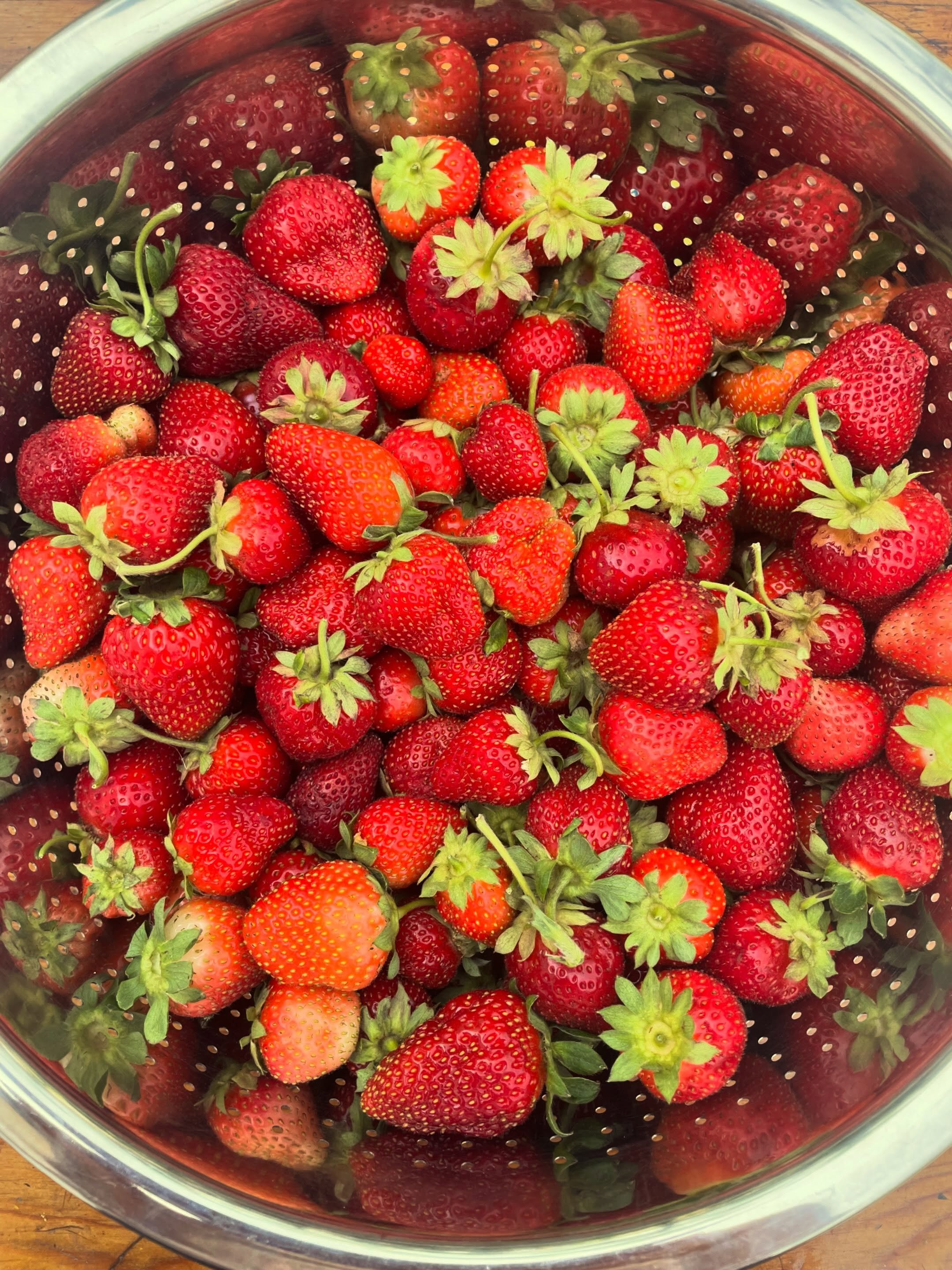 When I say &ldquo;STRAW&rdquo;, you say &ldquo;BERRY&rdquo;!!! Today we had a very successful strawberry harvest! We will be putting these sweet and delicious berries in our house made strawberry rhubarb syrup! You can find this syrup in one of our s