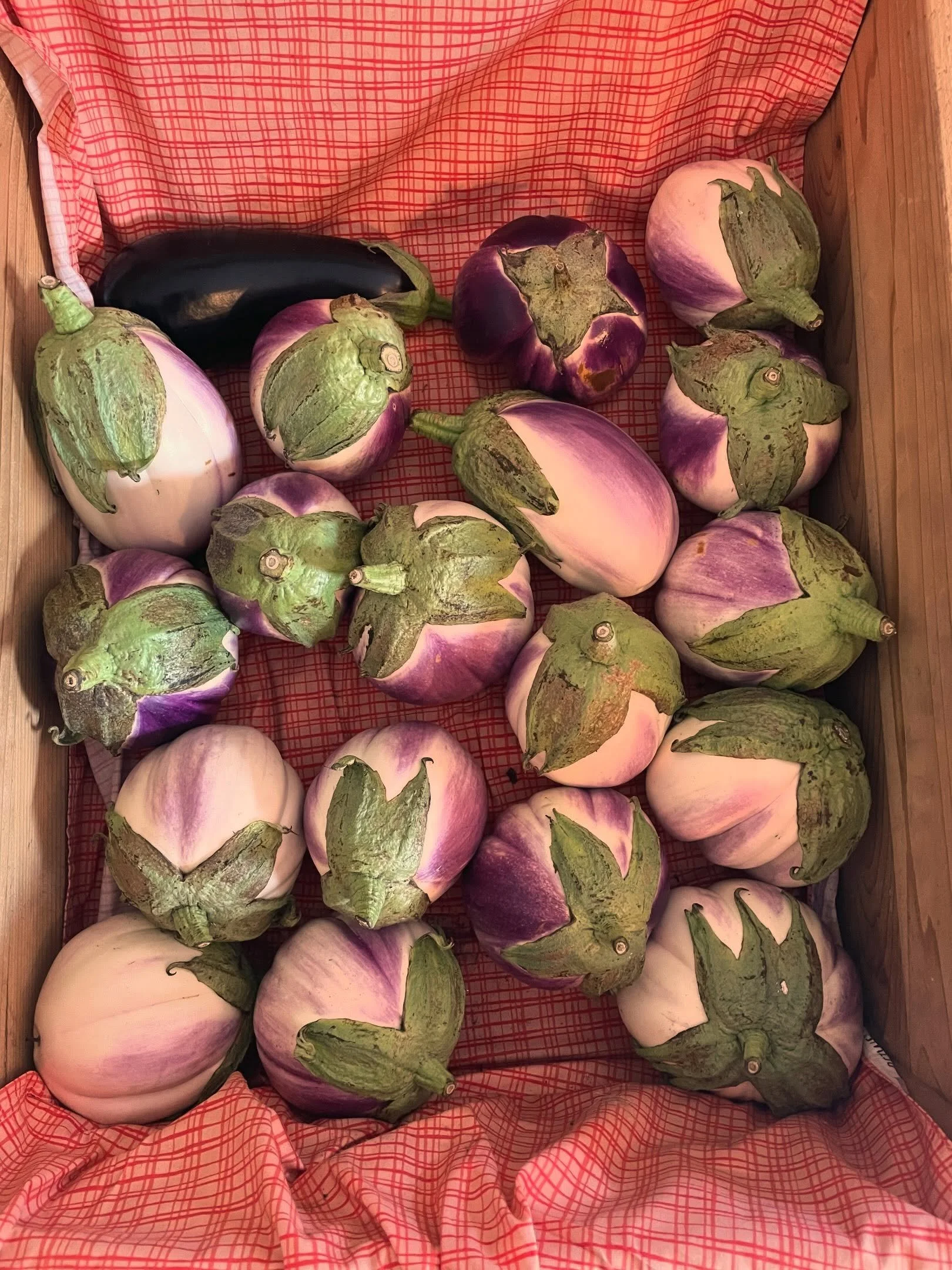 When we say beautiful, we&rsquo;re not just talking about the weather! We are fully stalked up on organic produce from the farm - these little teasers are pictures of our eggplant, zucchini, and cherry tomatoes! We&rsquo;ve got loads more produce, I&