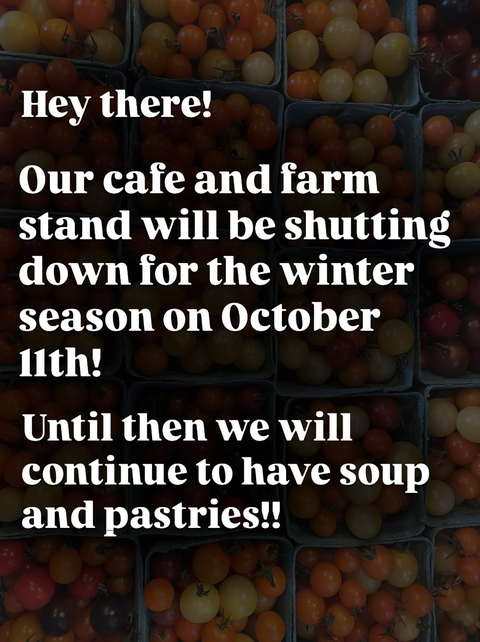 As the leaves are changing so are our hours. Our last day open for this season will be October 11th, and with these fall changes our menu has shifted as well - we are doing soups and pastries! #organic #fallishere #eatlocal #farmlife #adayinthelife