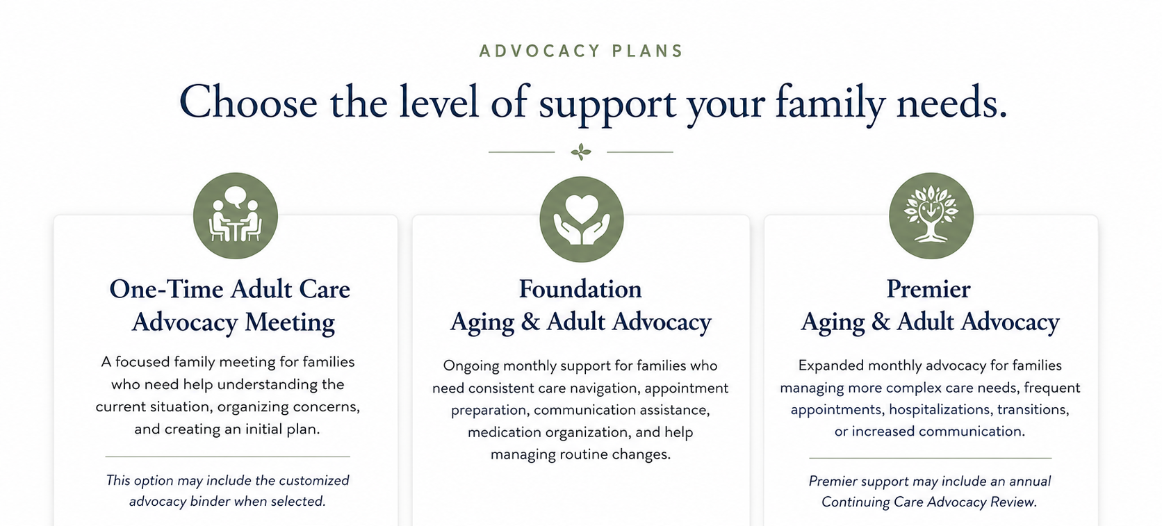 Family reviewing in-home care, hospital crisis, and needs of older people