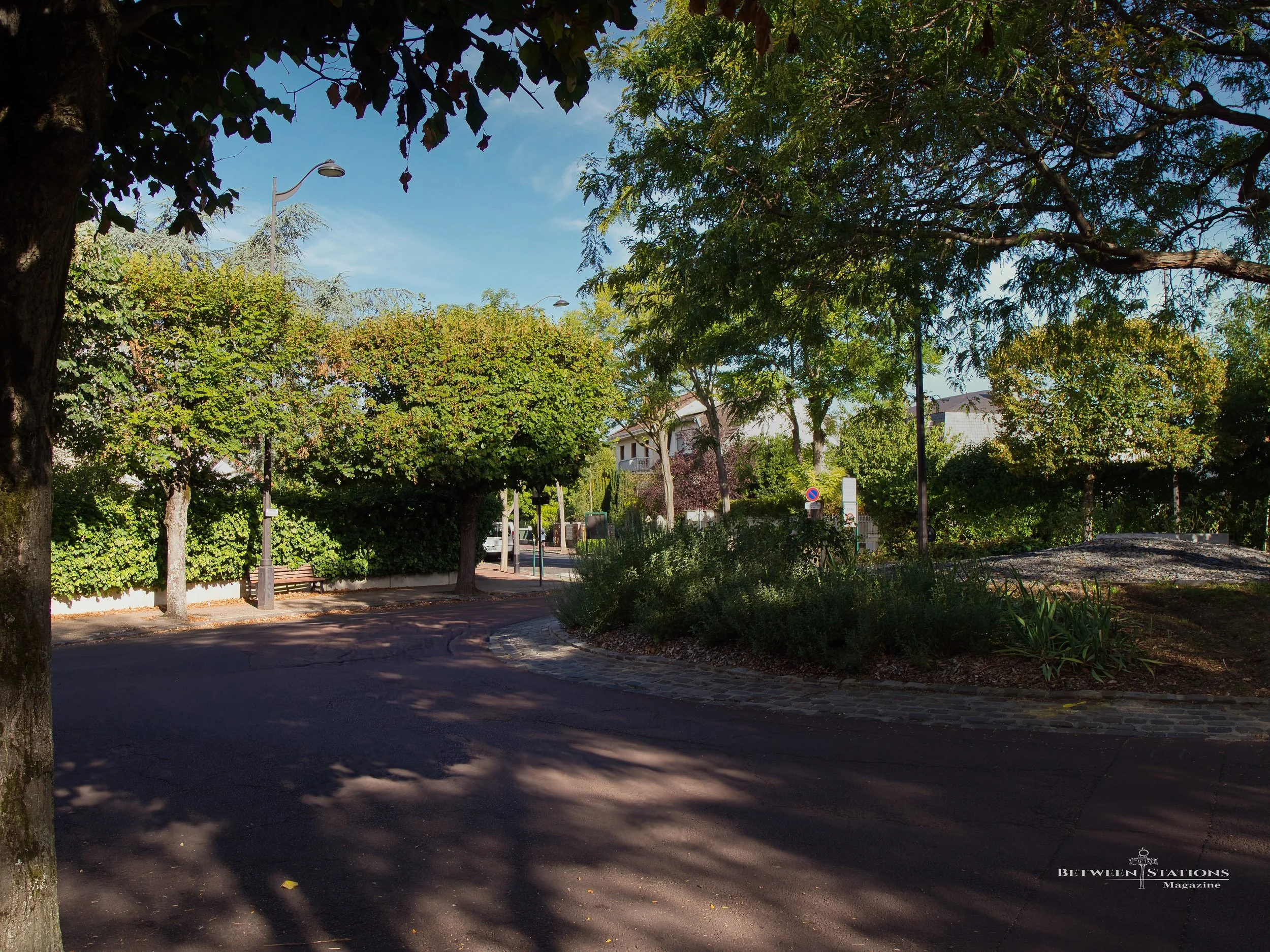 A tree-lined residential corner where a red-surfaced cycling path curves away from the road toward a row of houses