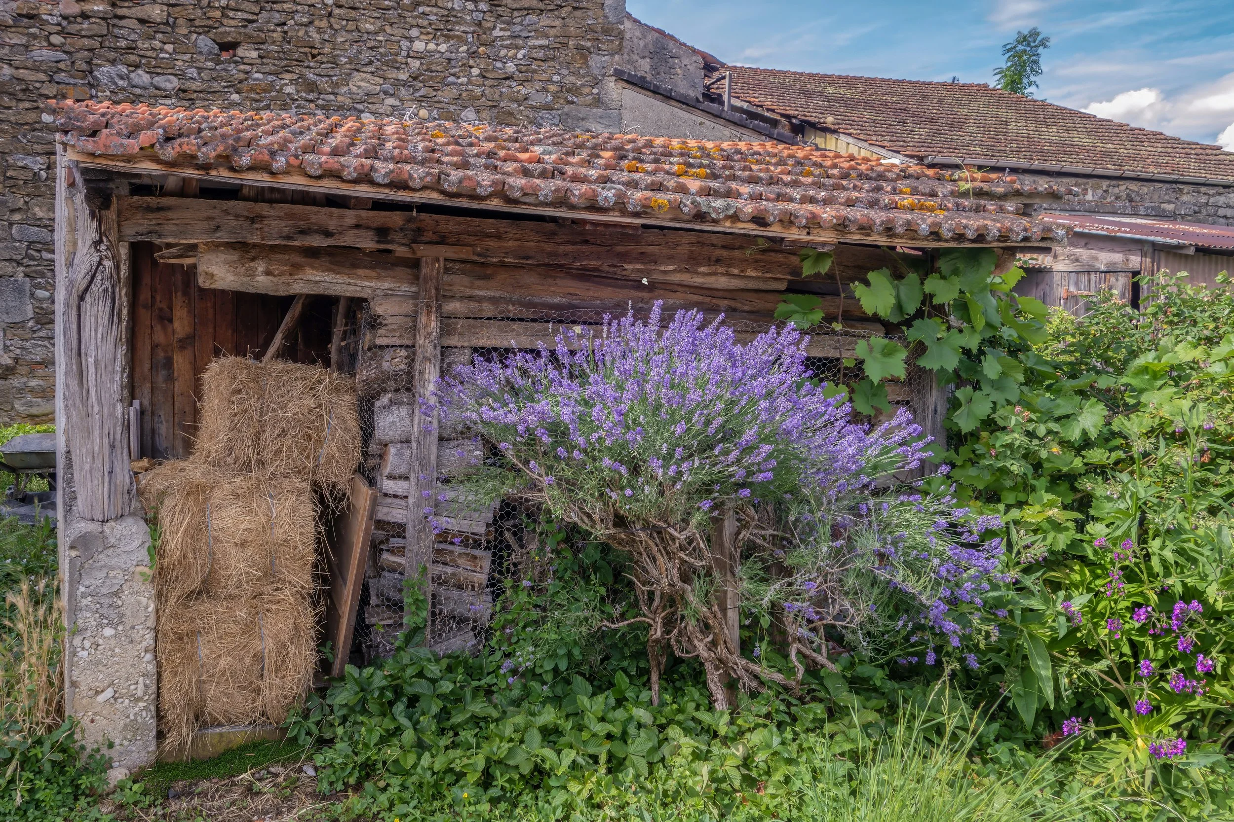 The Beauty of France