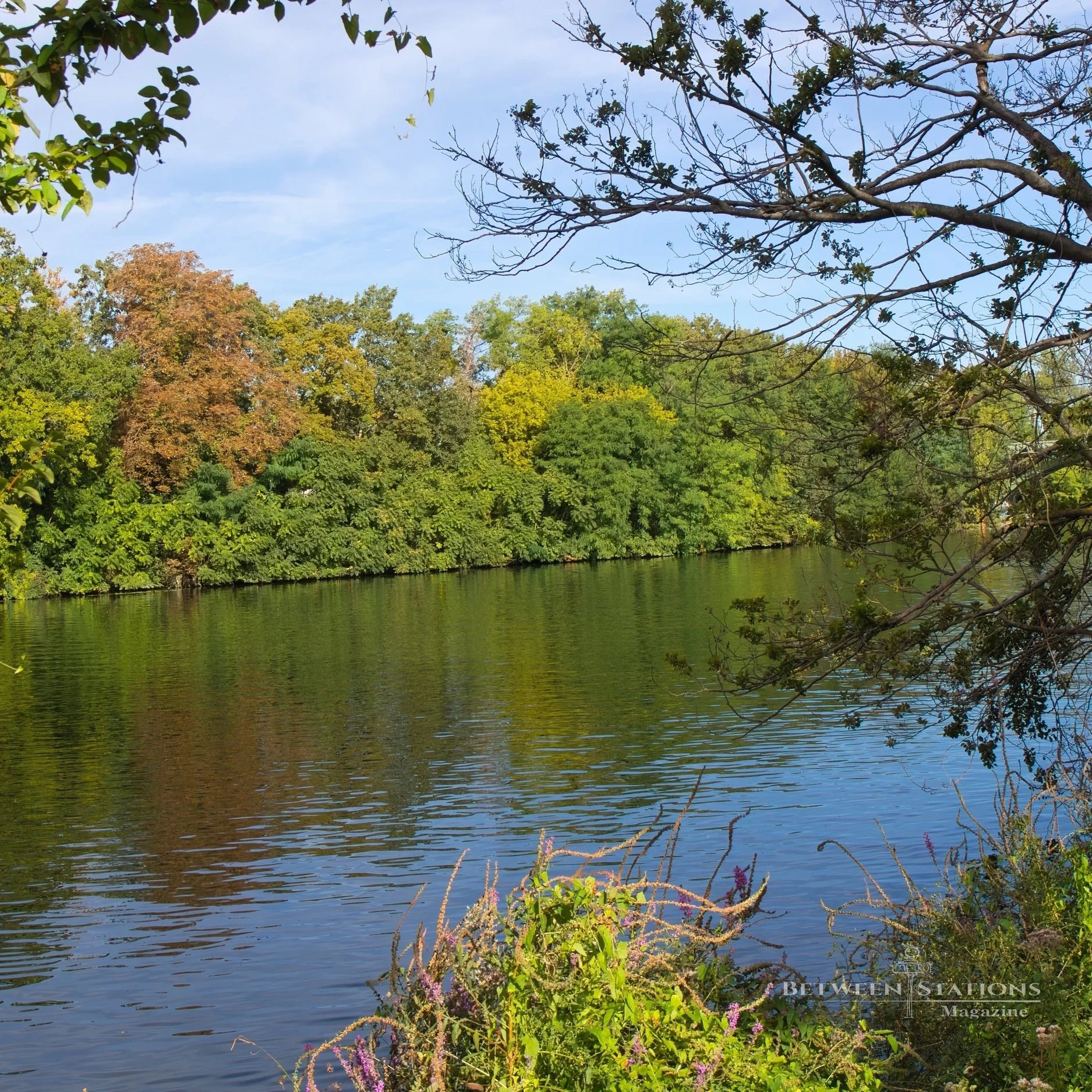 October Random Walk: A Wooded Stroll Along the Seine