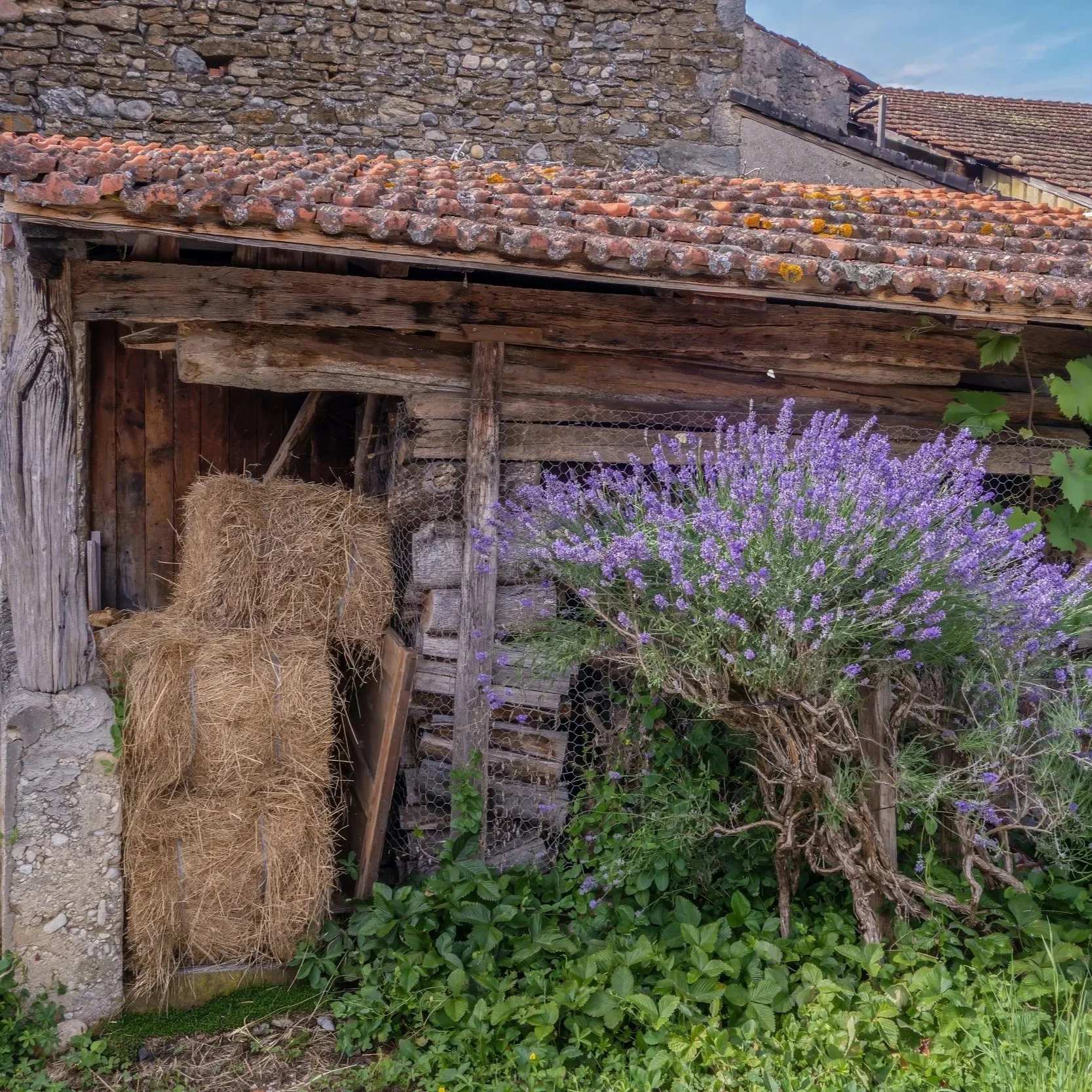 The Beauty of France: Finding Wonder in Everyday Life