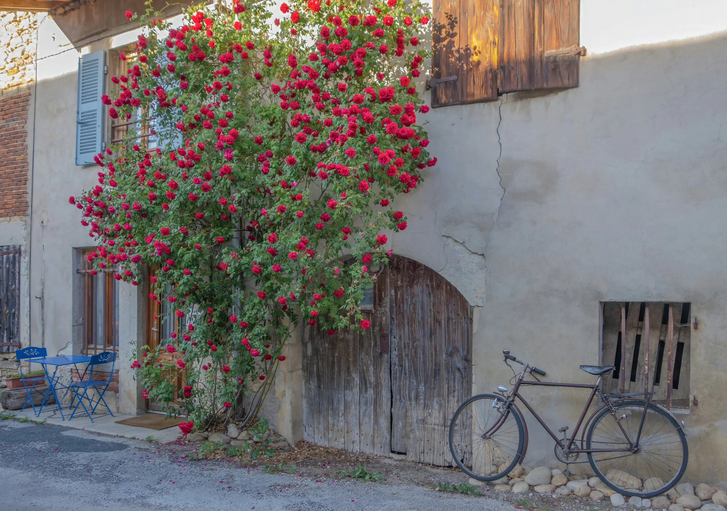 Vintage bicycle leaned against a stone village house covered in climbing red roses