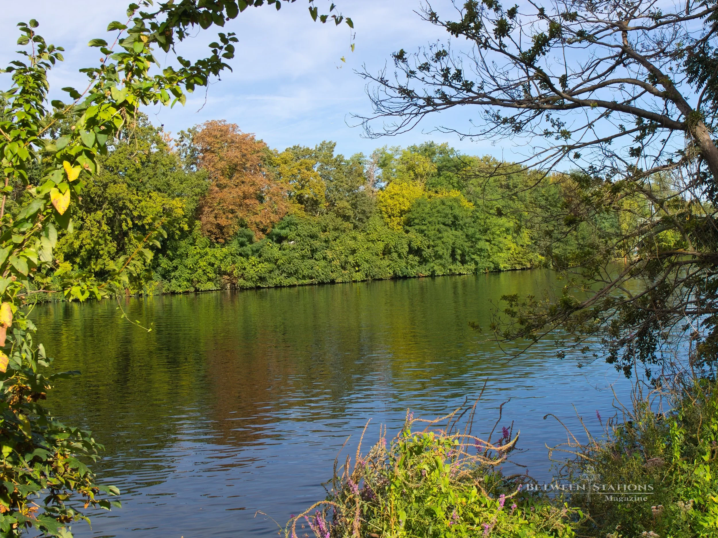 A wide bend in the Seine, its still surface reflecting a tree line just beginning to turn autumn colors