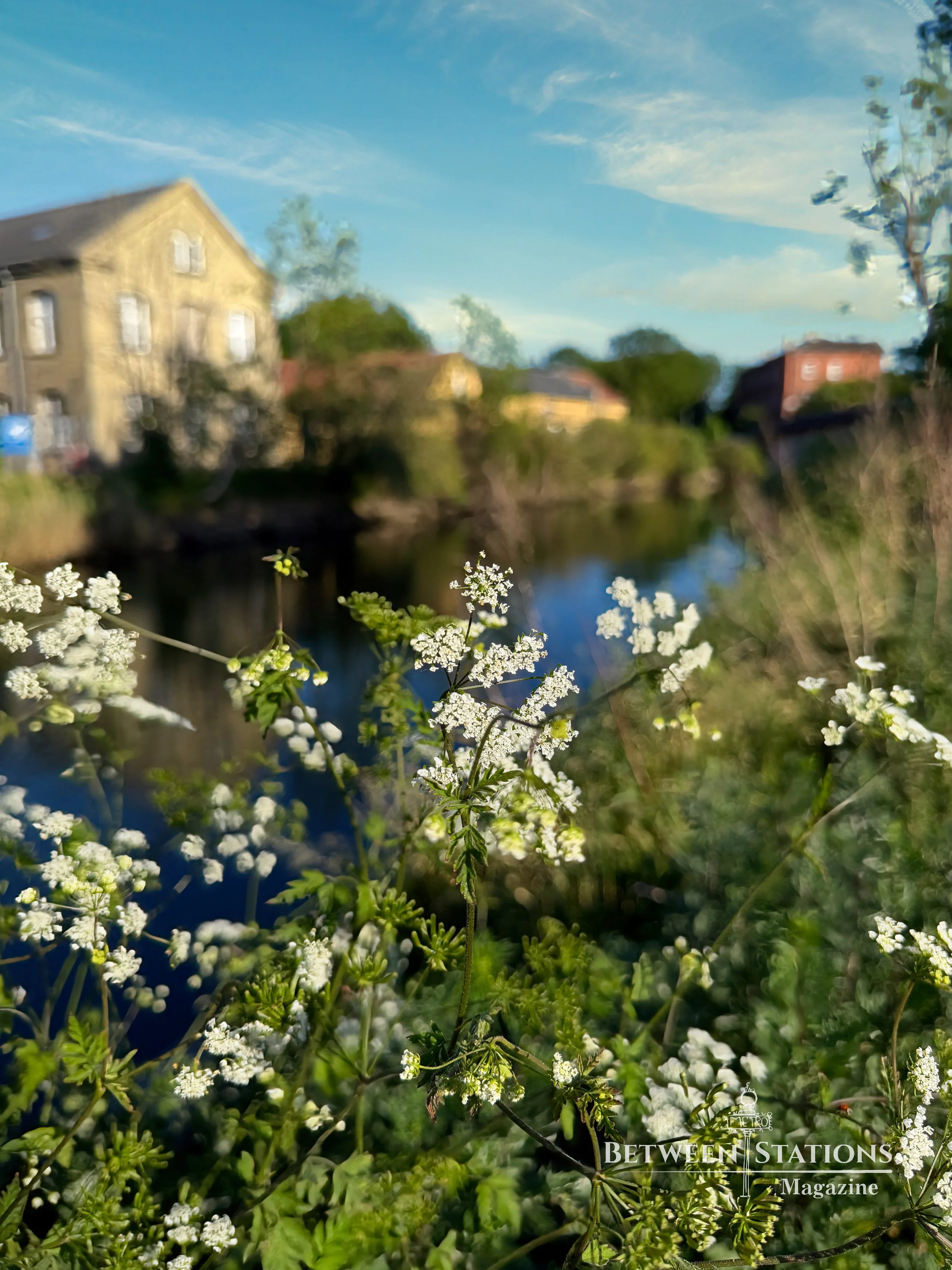 Flowers at canal in Copenhagen