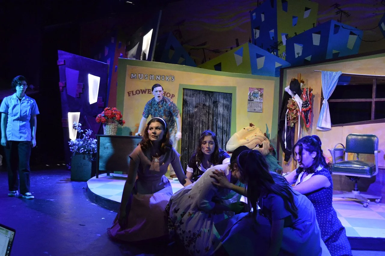LittleShopOfHorrors-AF2155385911.jpeg