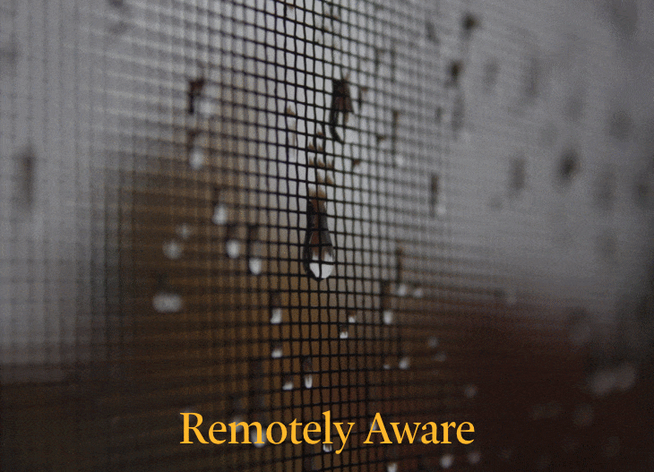 Arts Re/View 2021: Remotely Aware