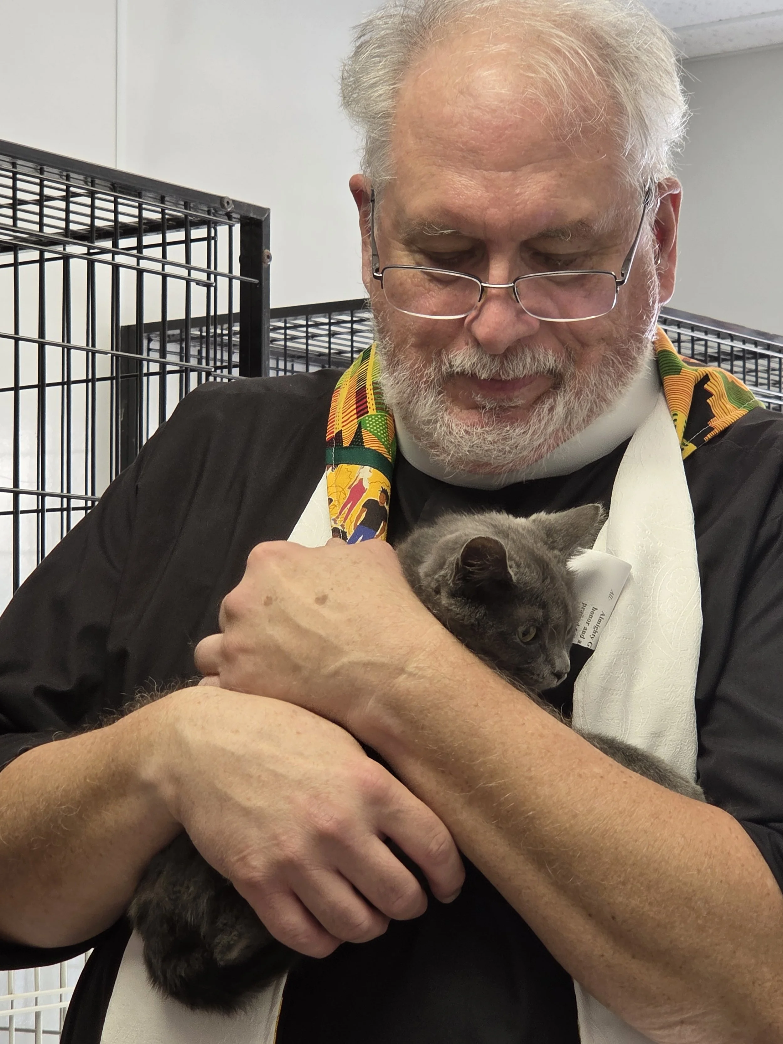 An older man with gray hair and glasses, wearing a white apron and colorful scarf, holding a black and gray cat close to his chest, inside a room with metal cages in the background.
