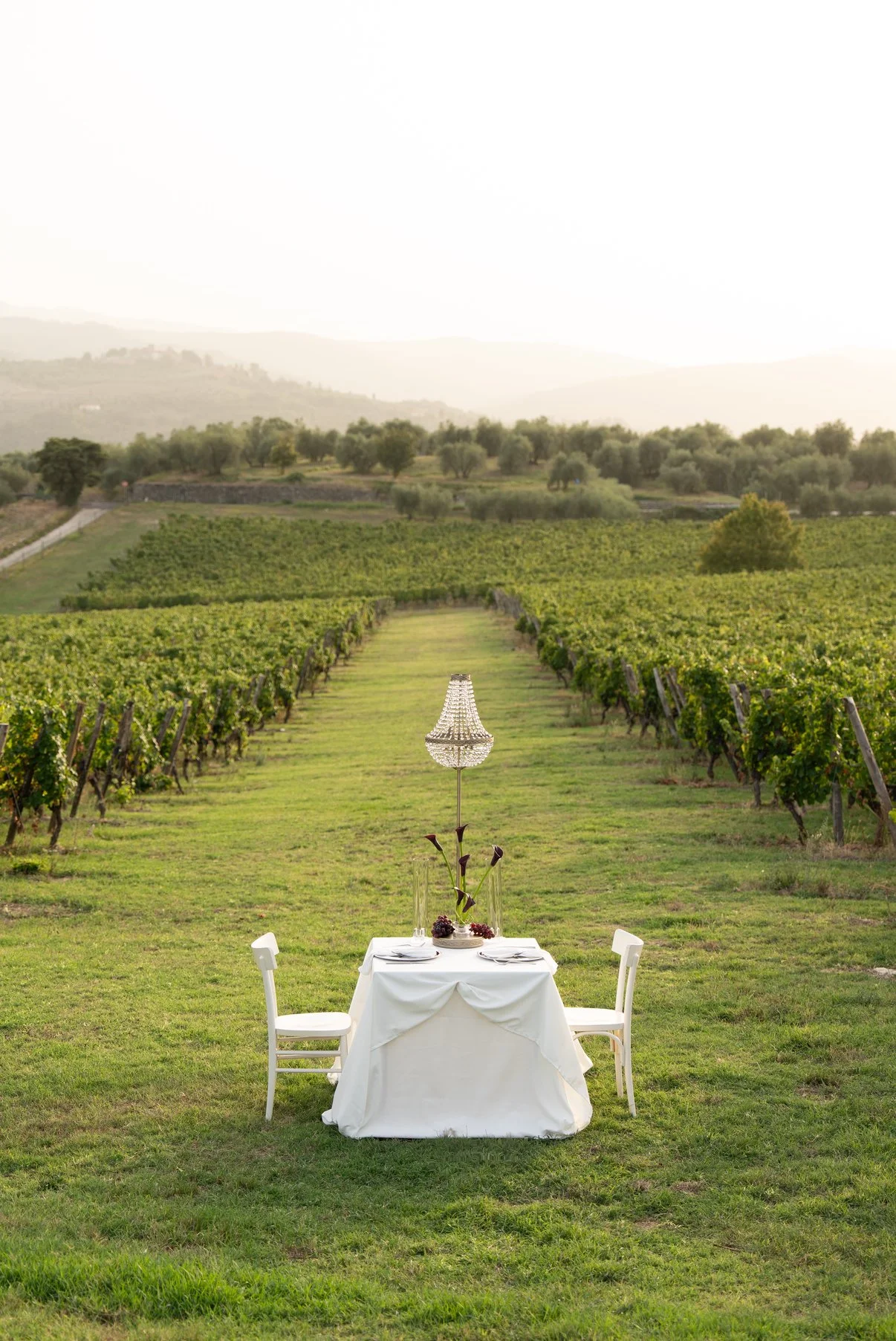 The Vineyard Dinner