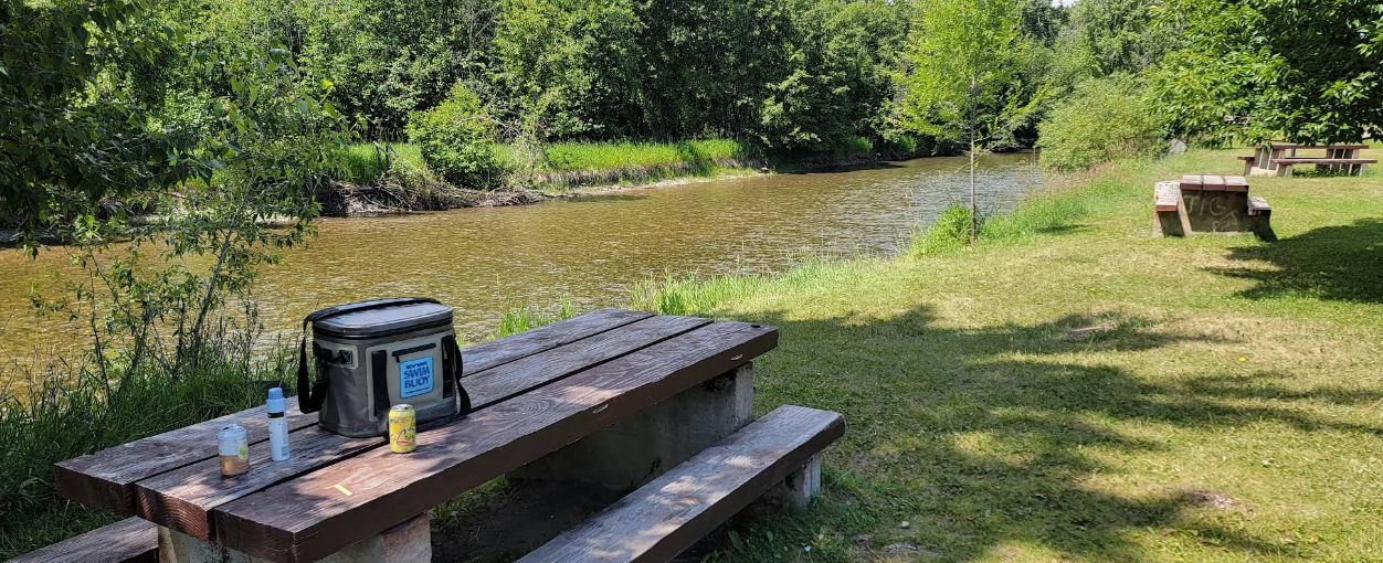 A picnic table and benches near a river, with a cooler and some bottles on the table. There are trees and grass in the background. Shadows cast by trees are on the grass.