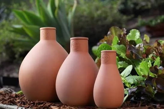 Ollia Terracotta Slow-irrigation (recommeded)