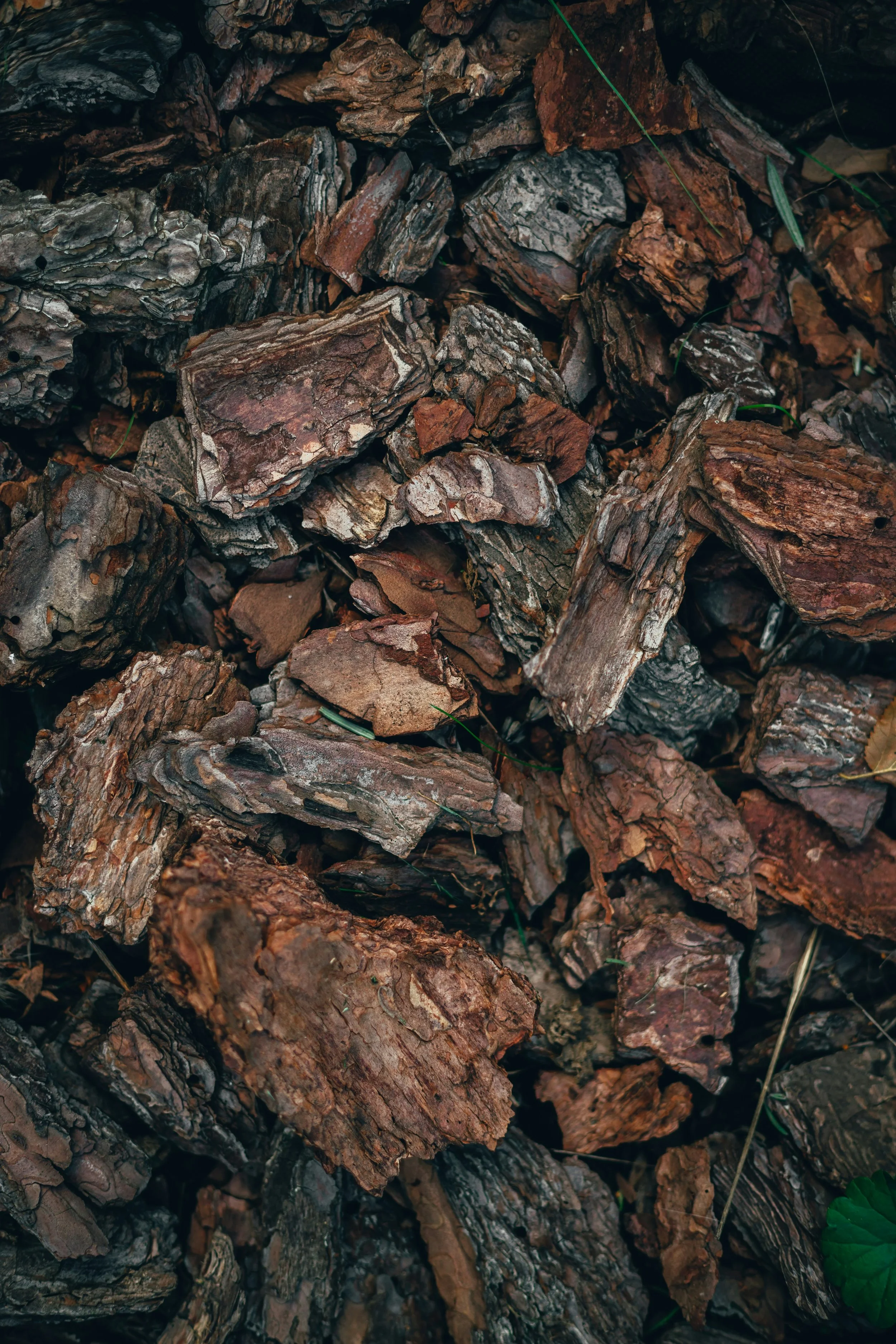 Medium Fir Bark Nuggets and burlap for pathways around garden beds (recommended)