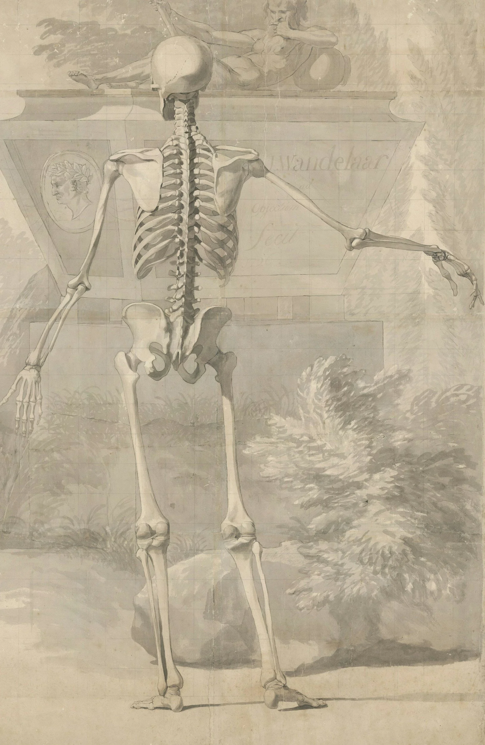 A detailed anatomical drawing of a human skeleton with a background that appears to be an artistic or educational illustration.