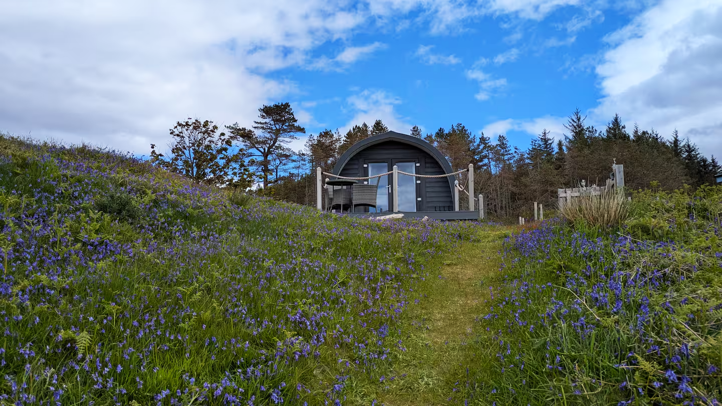 Small black wooden cabin with a curved roof on a grassy hillside, surrounded by purple wildflowers, with a blue sky and clouds overhead.