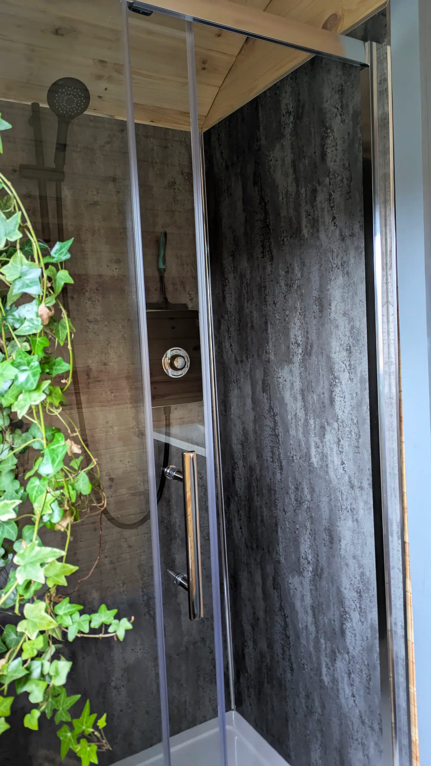 A modern shower with dark textured walls, a glass door, and a handheld showerhead, with green ivy in the foreground.