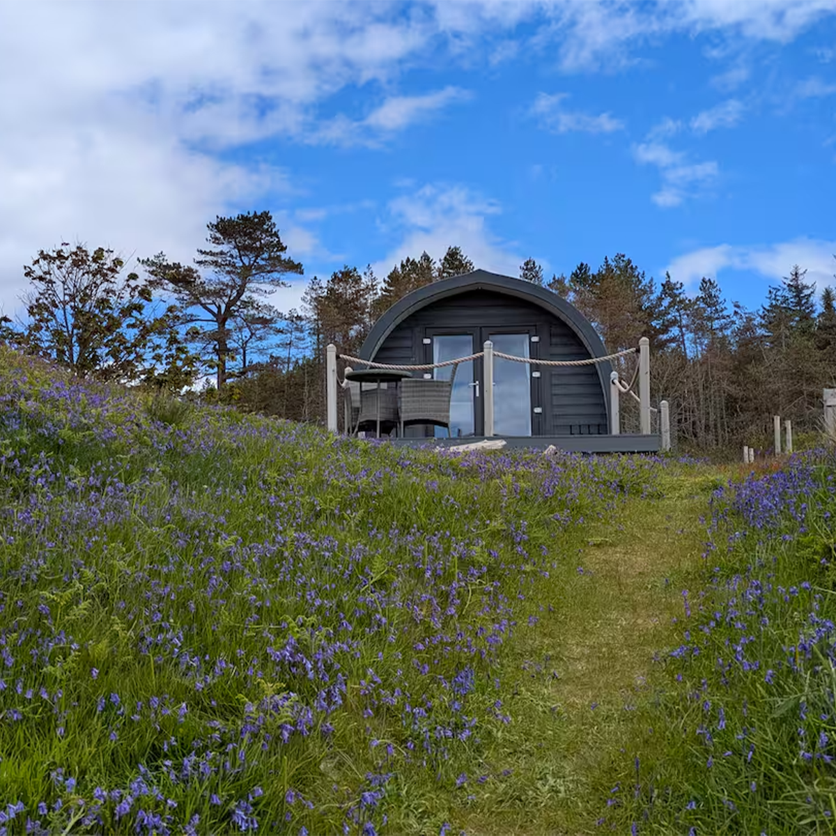 A small, dark-colored cabin with a rounded roof, situated on a grassy hill surrounded by purple wildflowers, with a pathway leading up to it and trees in the background under a partly cloudy sky.