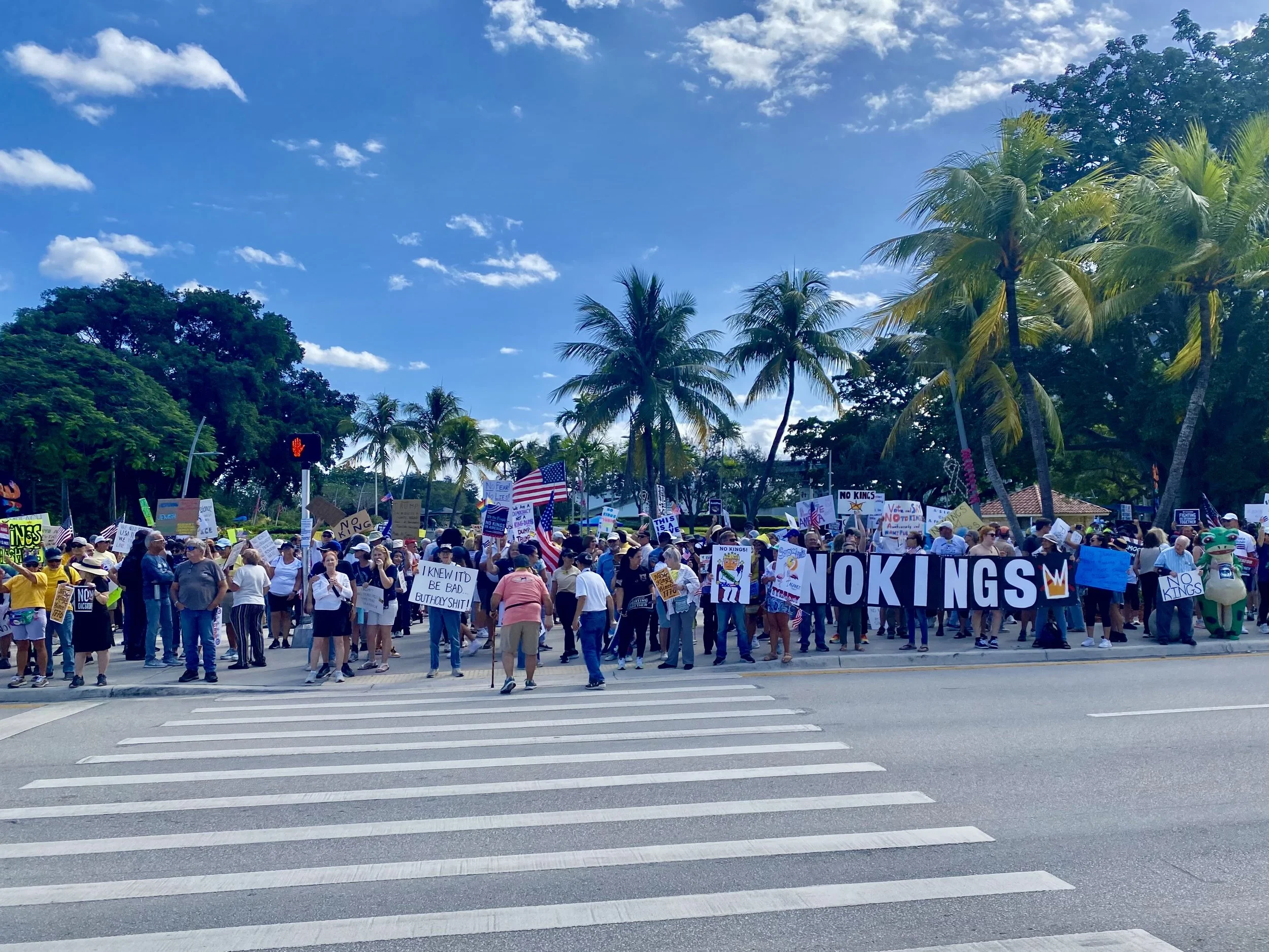 People participating in a protest holding signs and American flags, with palm trees and a blue sky with some clouds in the background.