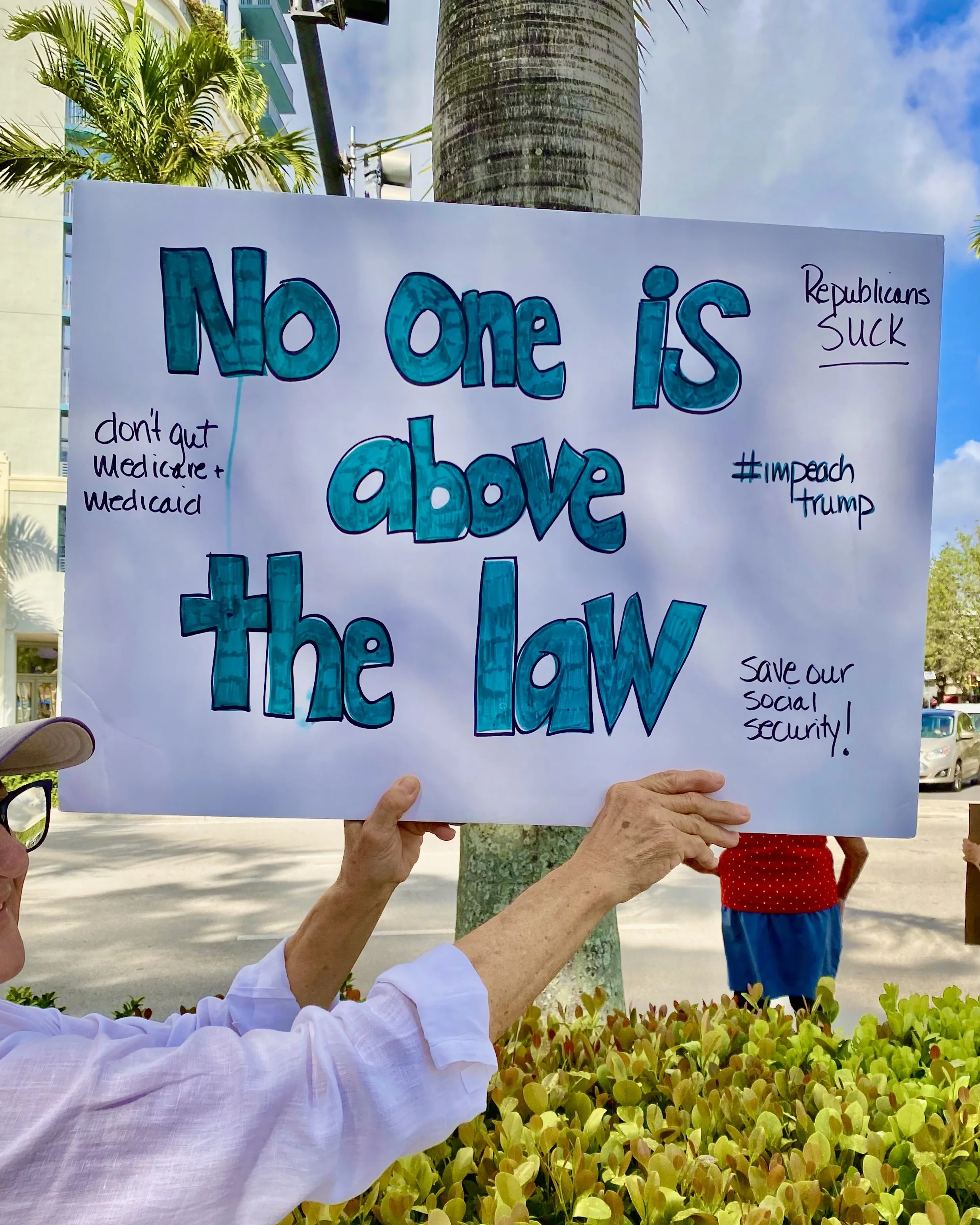 A person is holding a protest sign that reads 'No one is above the law' with additional messages written in smaller text that say 'don't gut medicare + medicaid,' 'Republicans SUCK,' and '#impeach trump.' The protest is outdoors near trees and buildings, with a palm tree in the background and a partly cloudy sky.