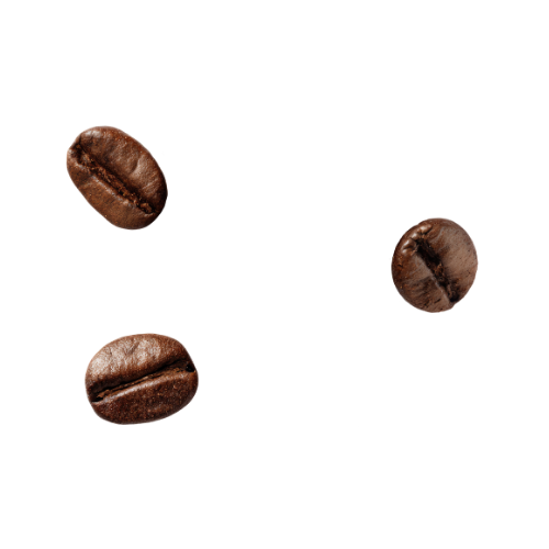 Three coffee beans scattered on a white background.