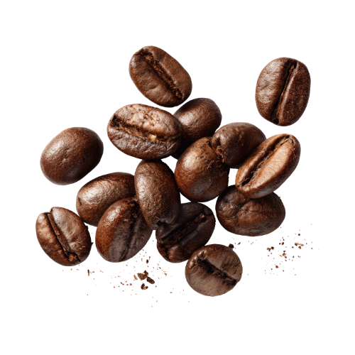A close-up of roasted coffee beans scattered on a white background.