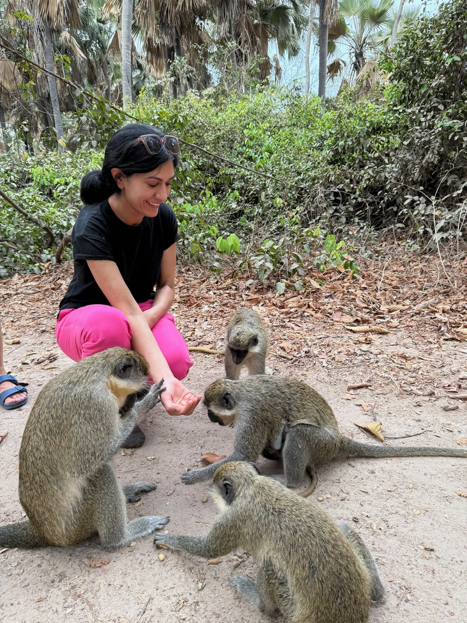 Woman smiling and feeding capybaras in a forested area.