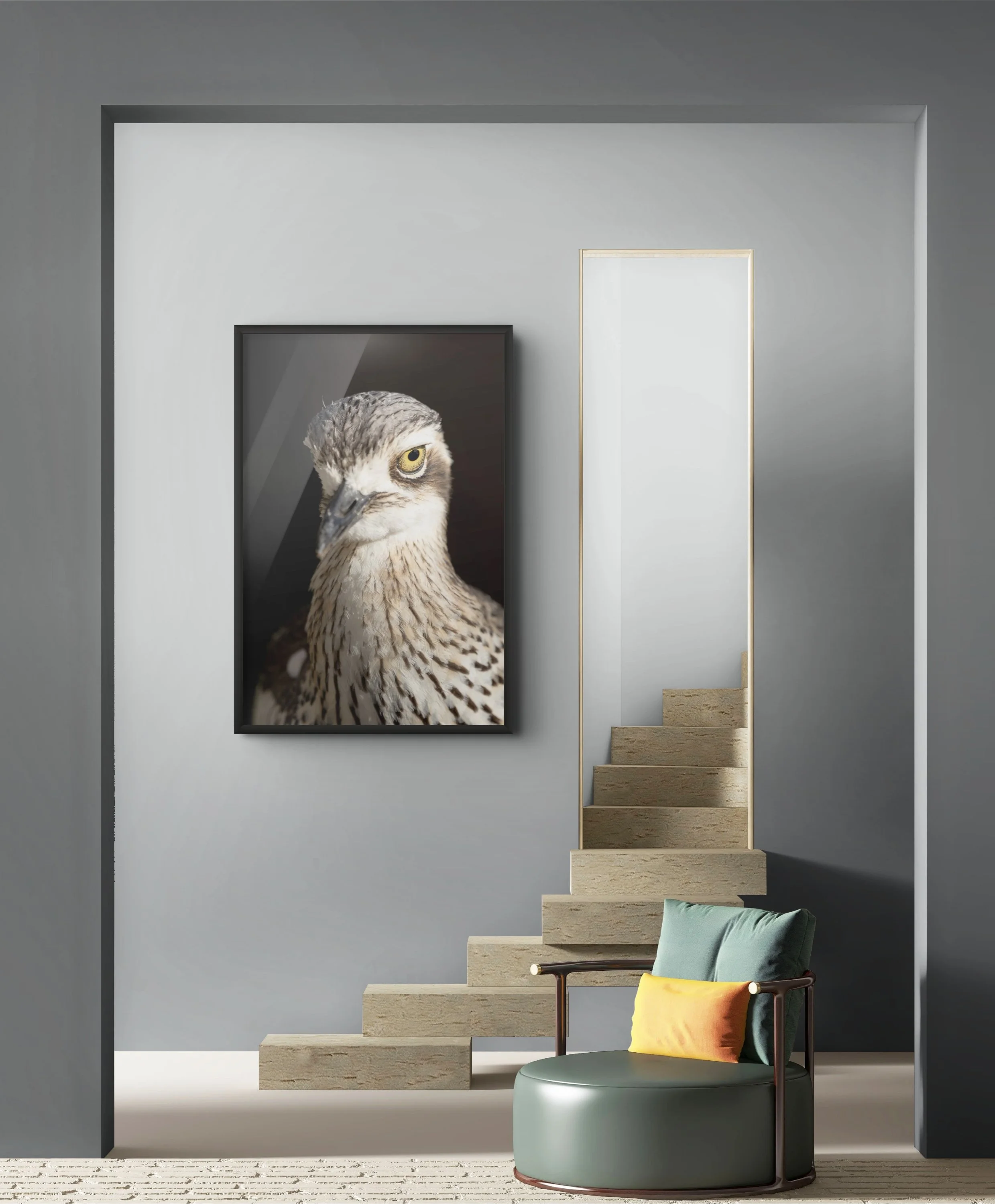 amm08476-full.jpg