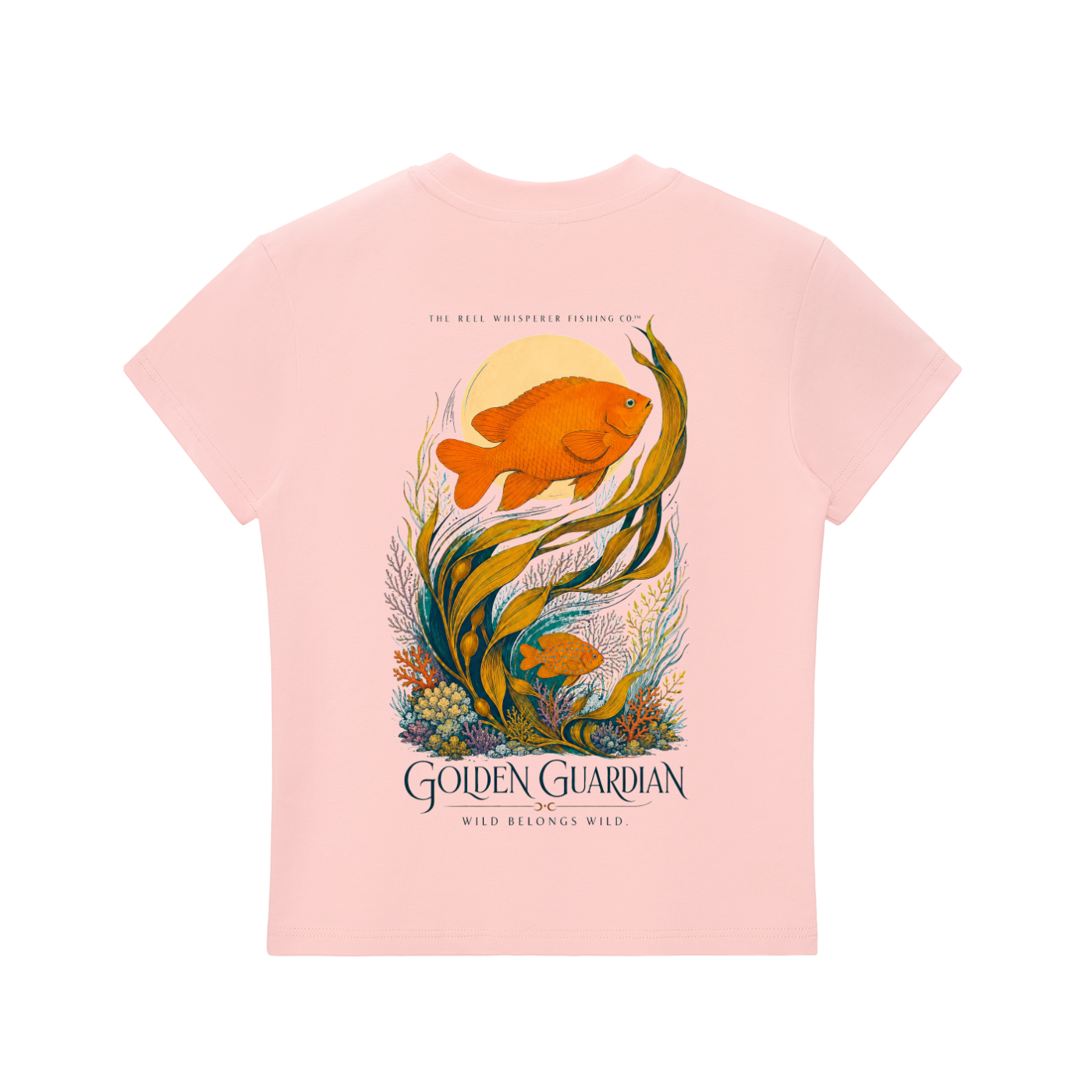 squarespace-upload-temp-2026-07-31-b14419b2-3dee-4dde-b631-857a144eed786991748776912363348.png