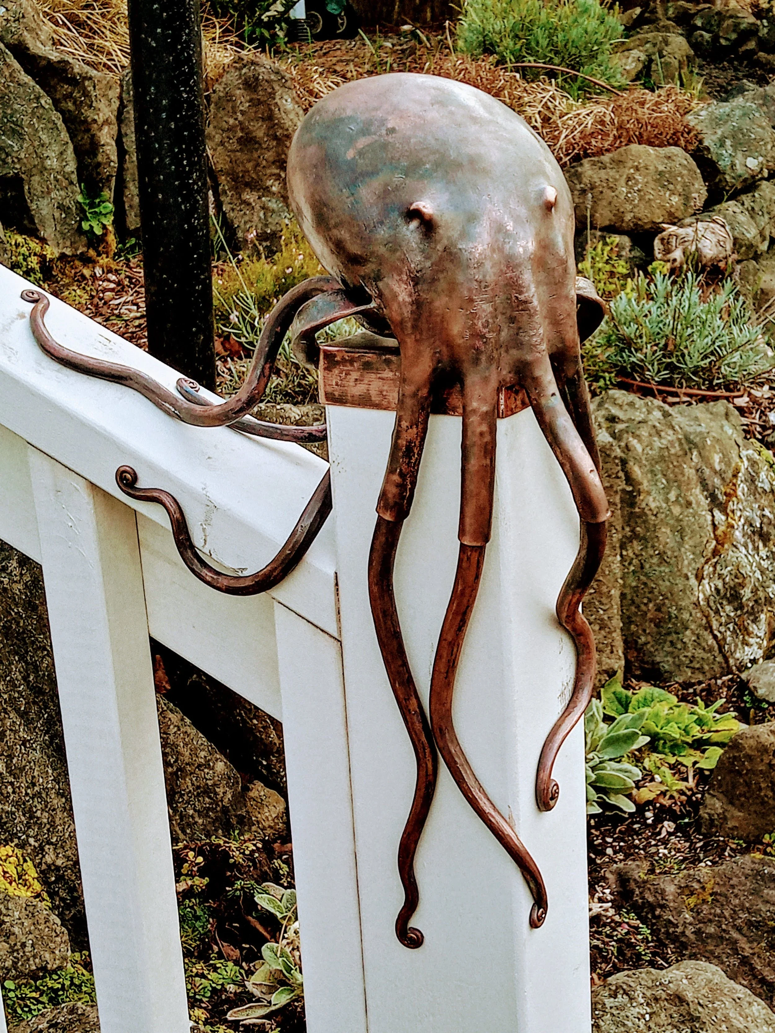 20210226_154149_HDR~2.jpg